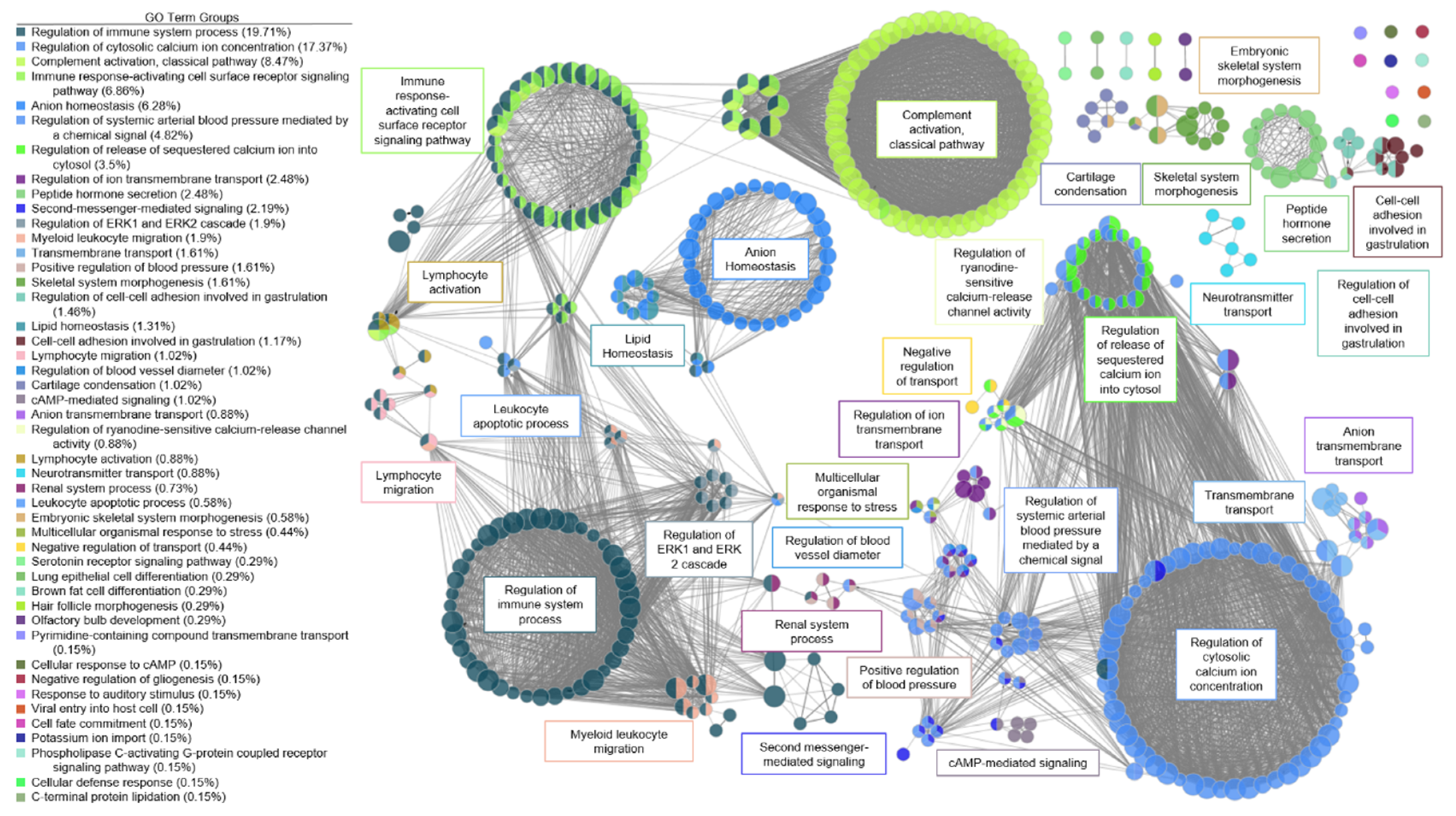 Genes 11 00789 g003 Genes 11 00789 g003