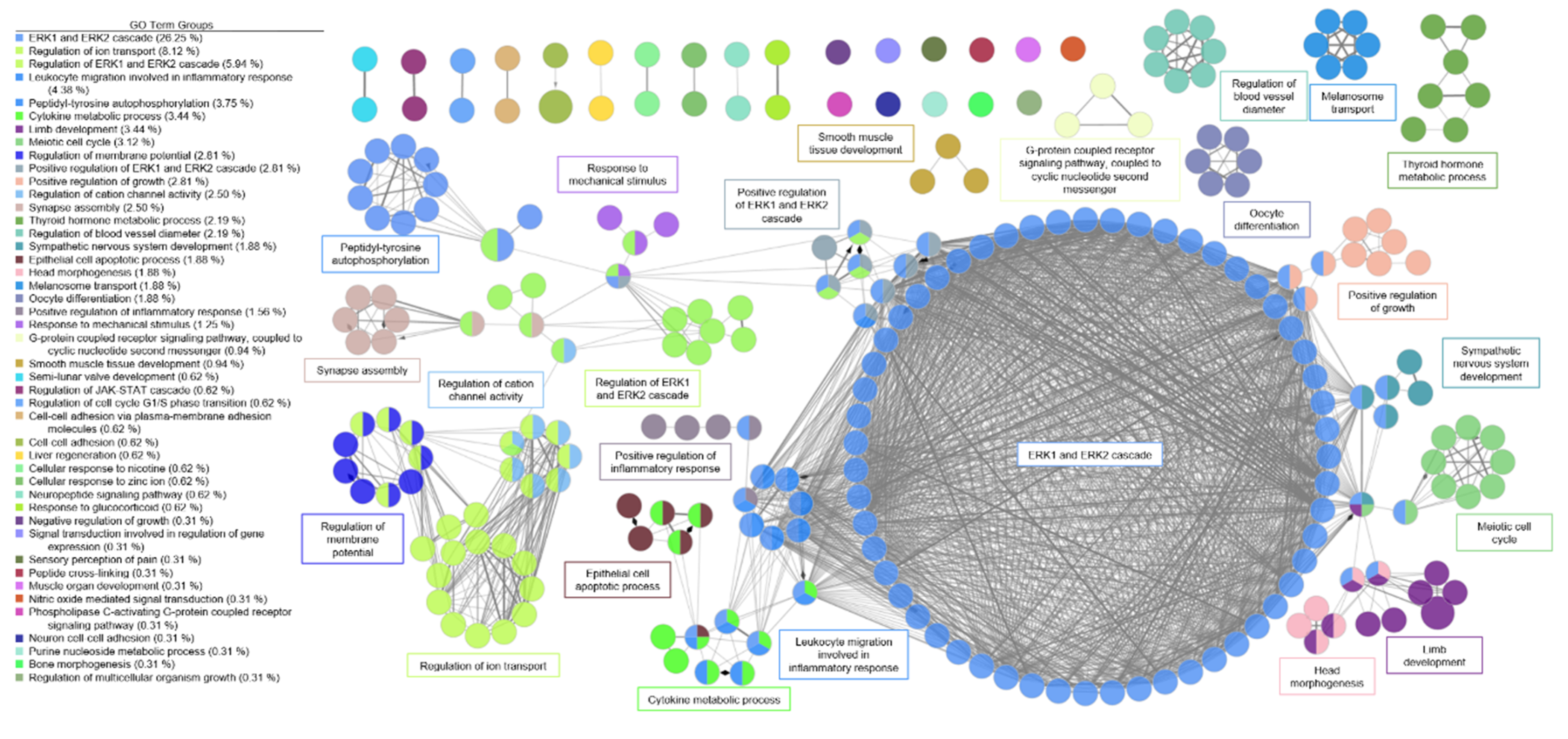 Genes 11 00789 g004 Genes 11 00789 g004