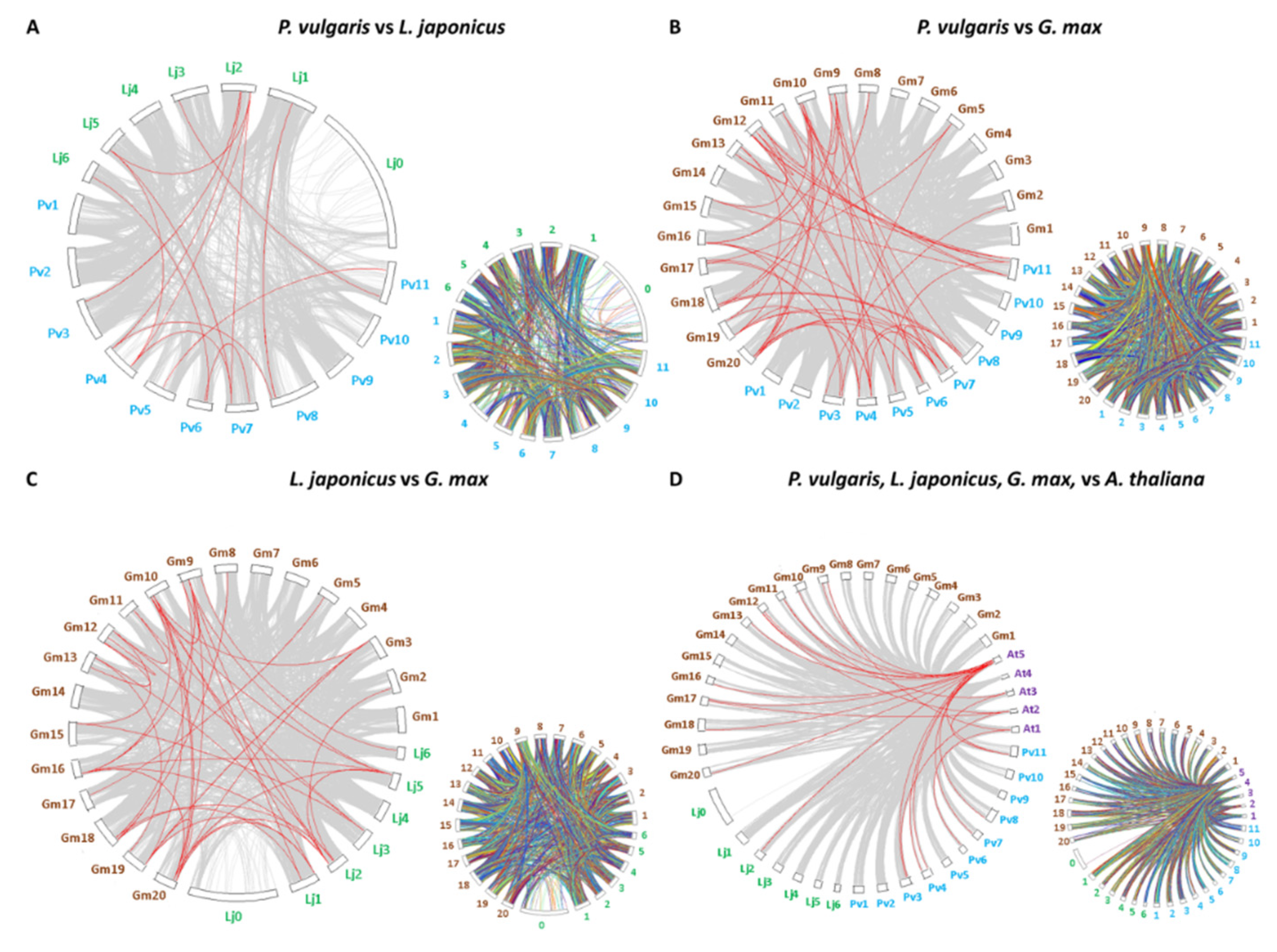 Genes 11 00793 g003 Genes 11 00793 g003