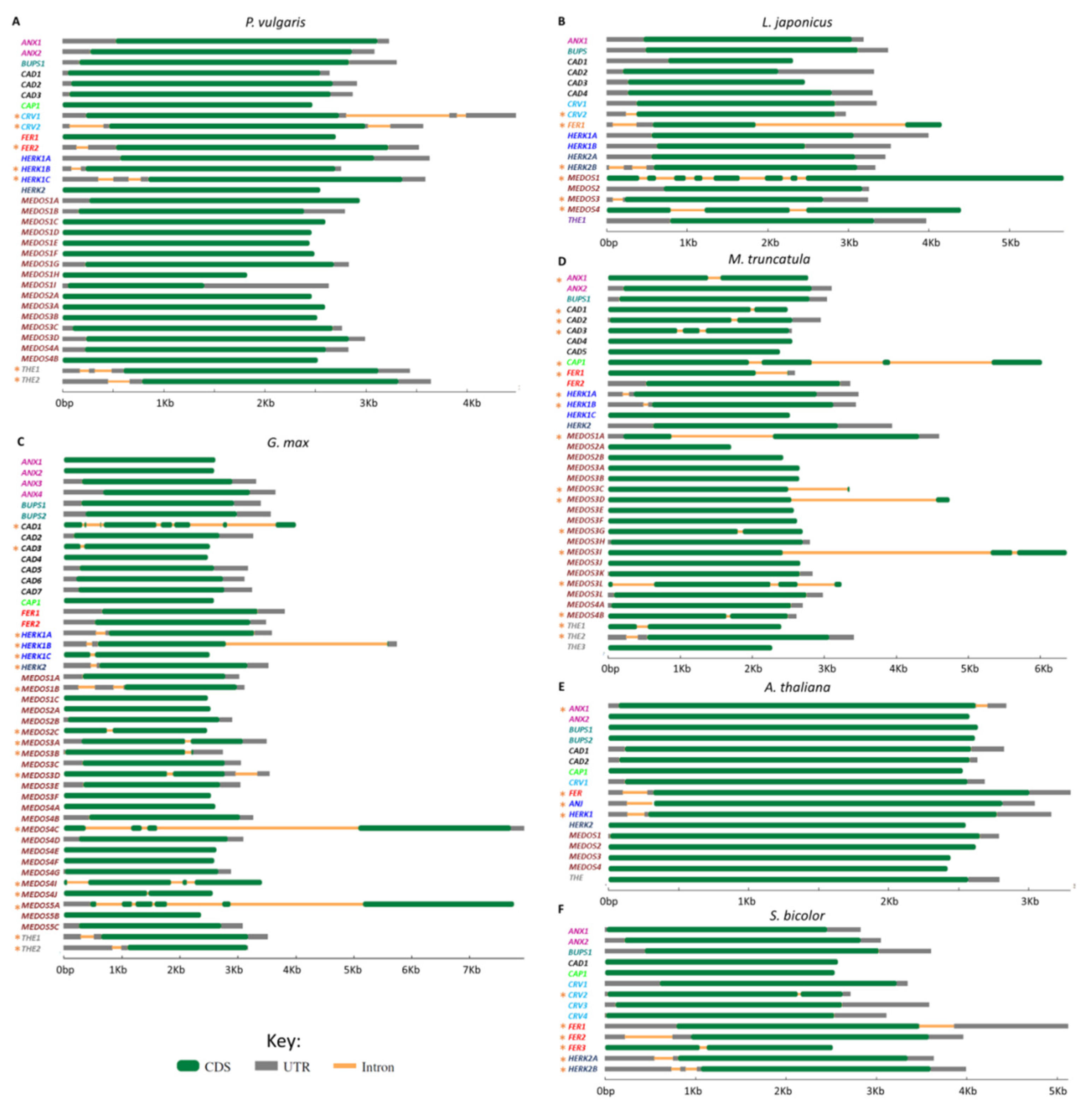 Genes 11 00793 g004 Genes 11 00793 g004