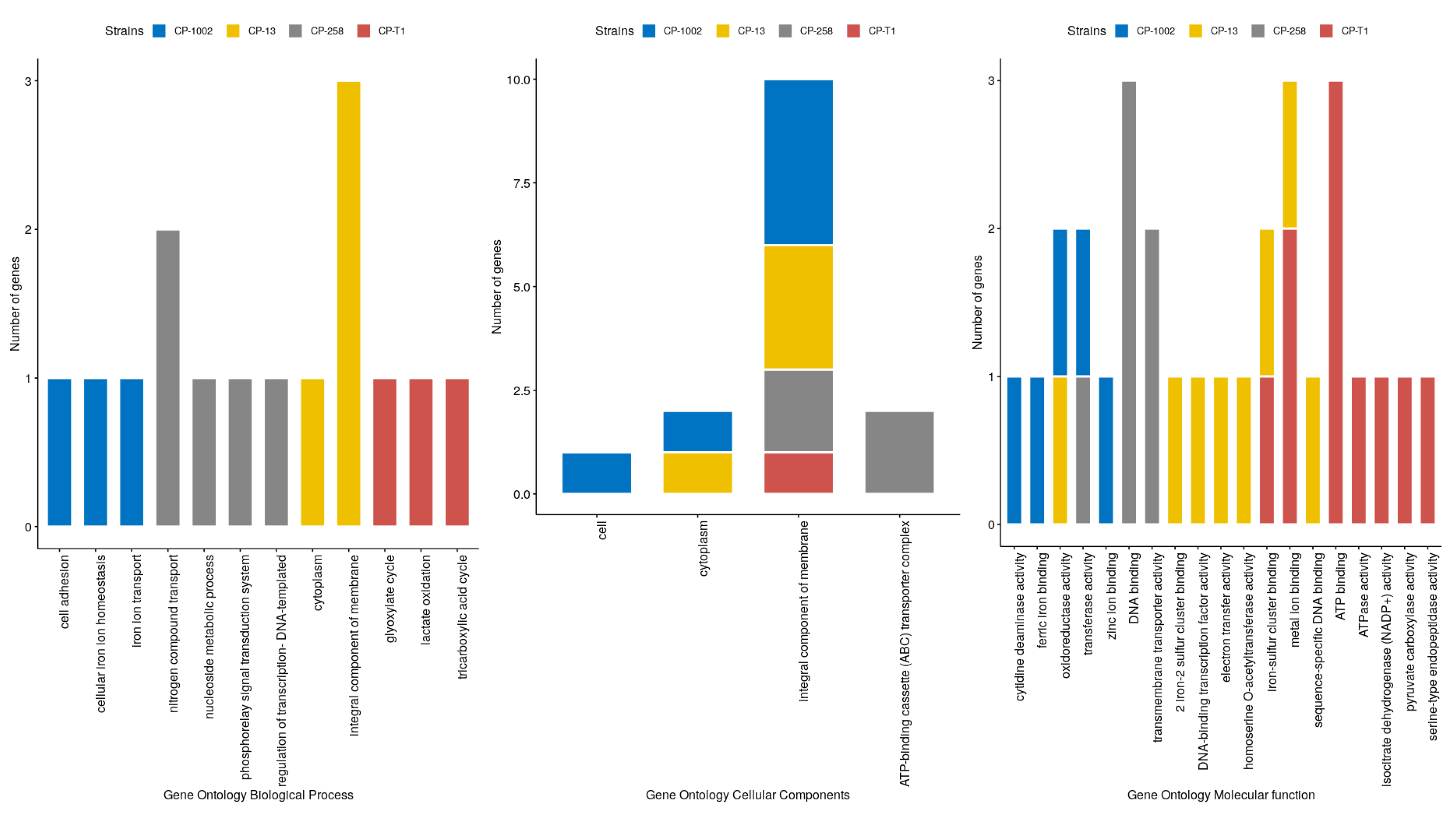 Genes 11 00794 g004 Genes 11 00794 g004