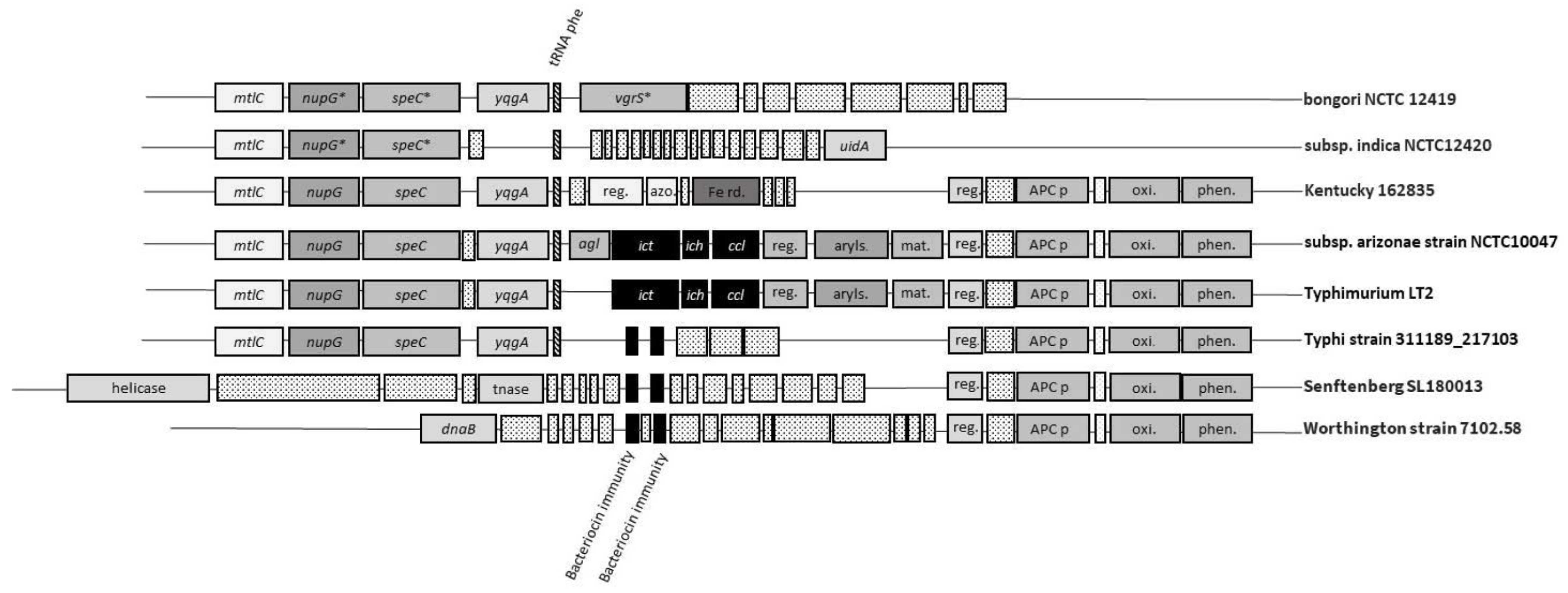 Genes 11 00797 g002 Genes 11 00797 g002