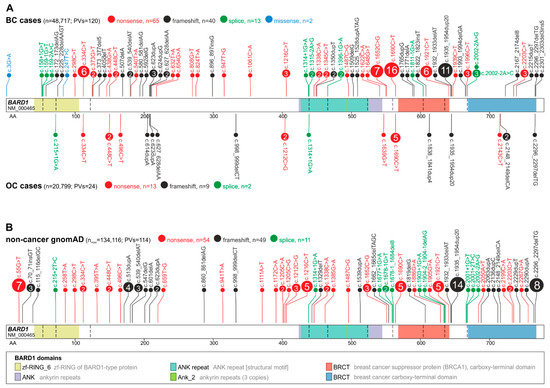 Genes 11 00798 g001 550