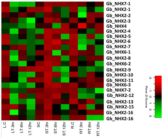 hide Genome-Wide Characterization and Expression Analysis of NHX