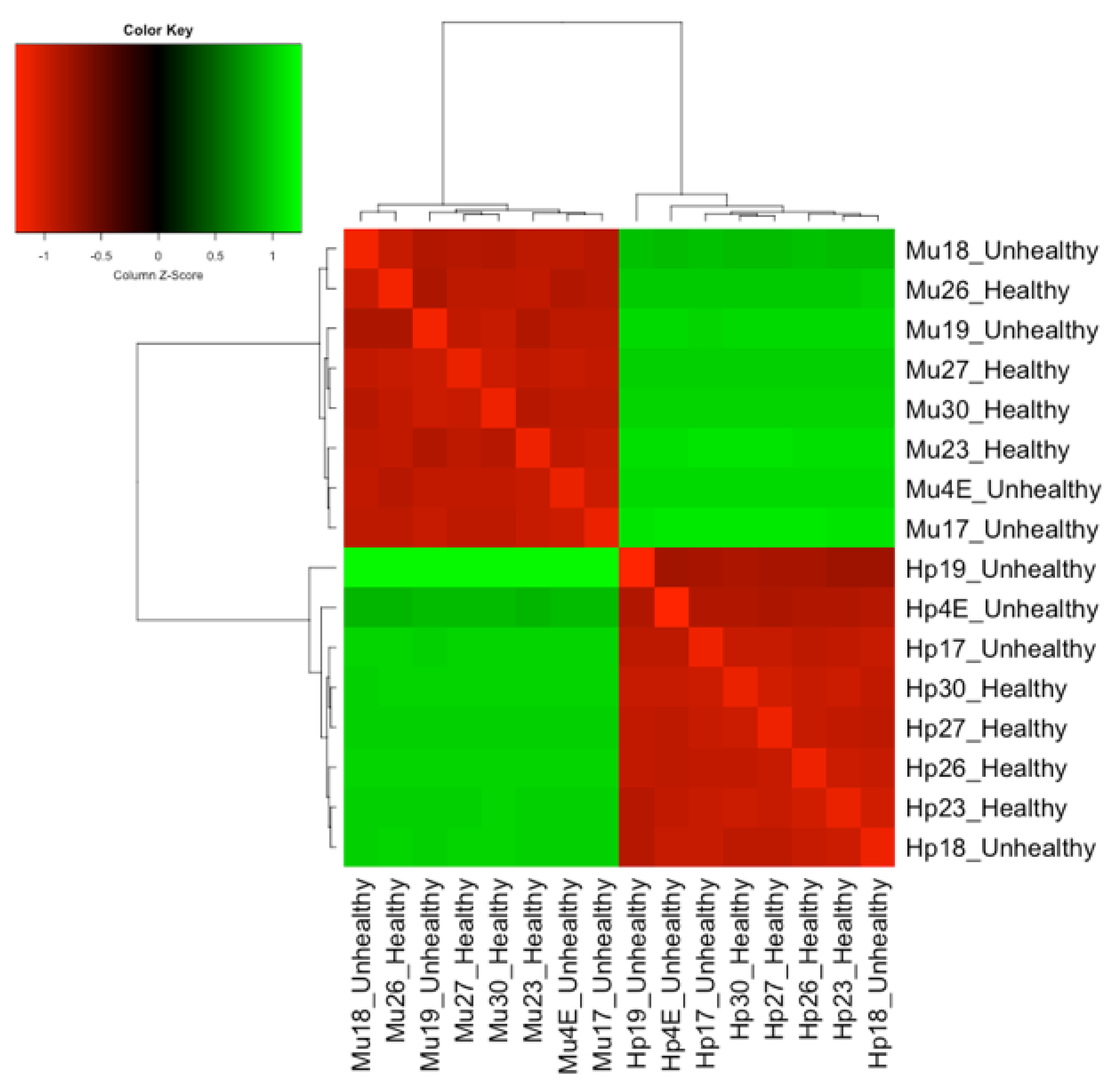 Genes Free Full Text Shedding The Light On Litopenaeus Vannamei Differential Muscle And Hepatopancreas Immune Responses In White Spot Syndrome Virus Wssv Exposure Html