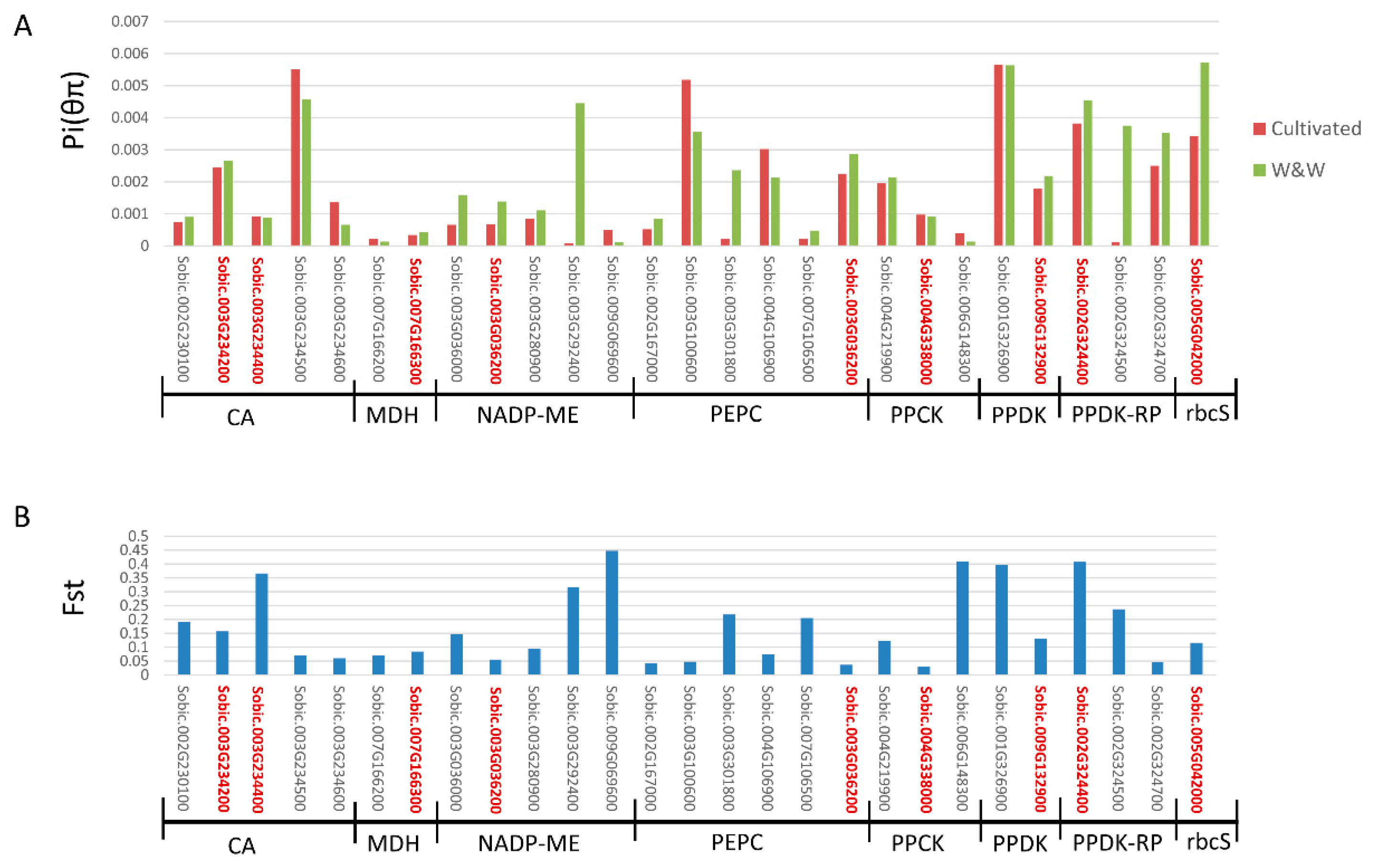 Genes 11 00806 g002 Genes 11 00806 g002