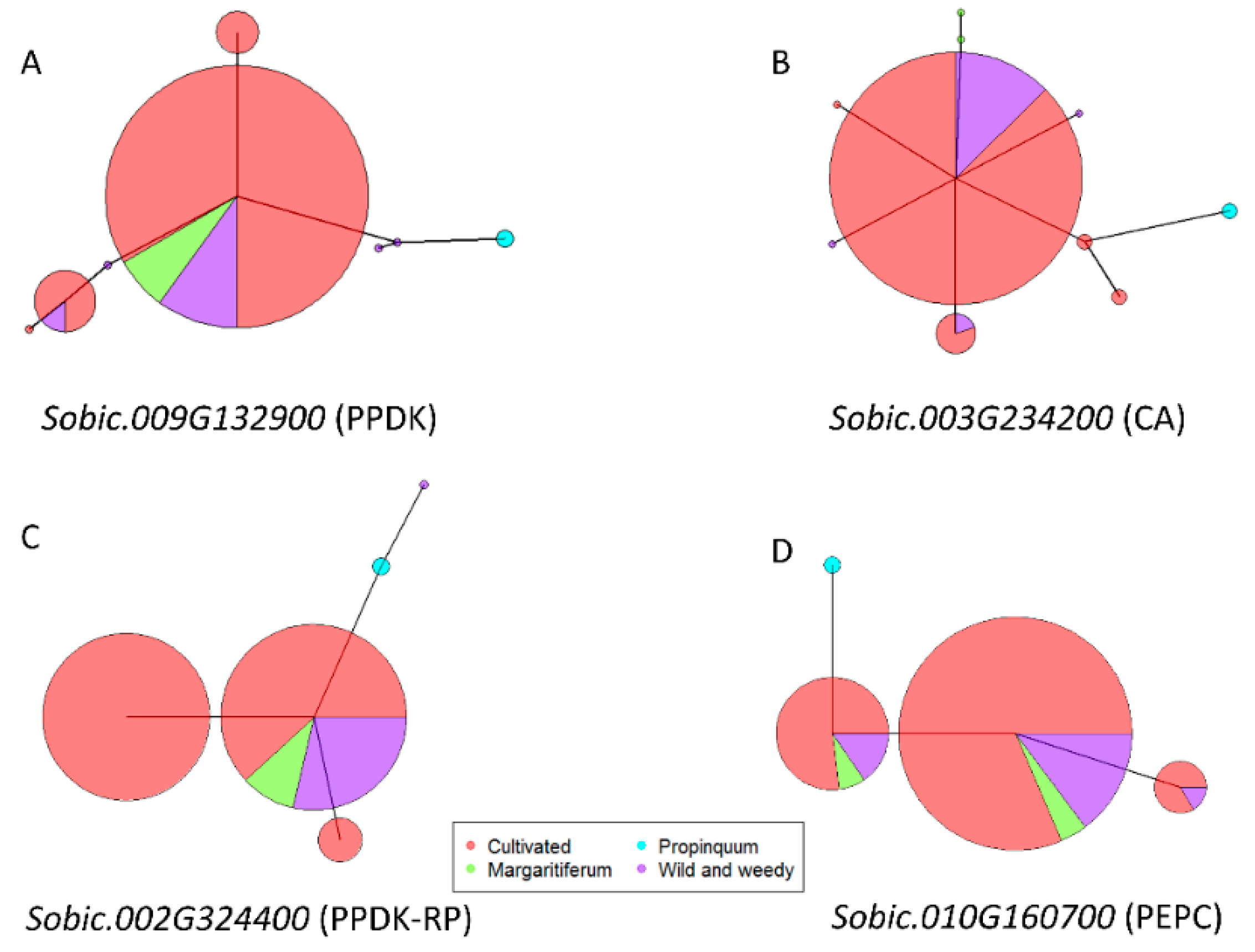 Genes 11 00806 g003 Genes 11 00806 g003