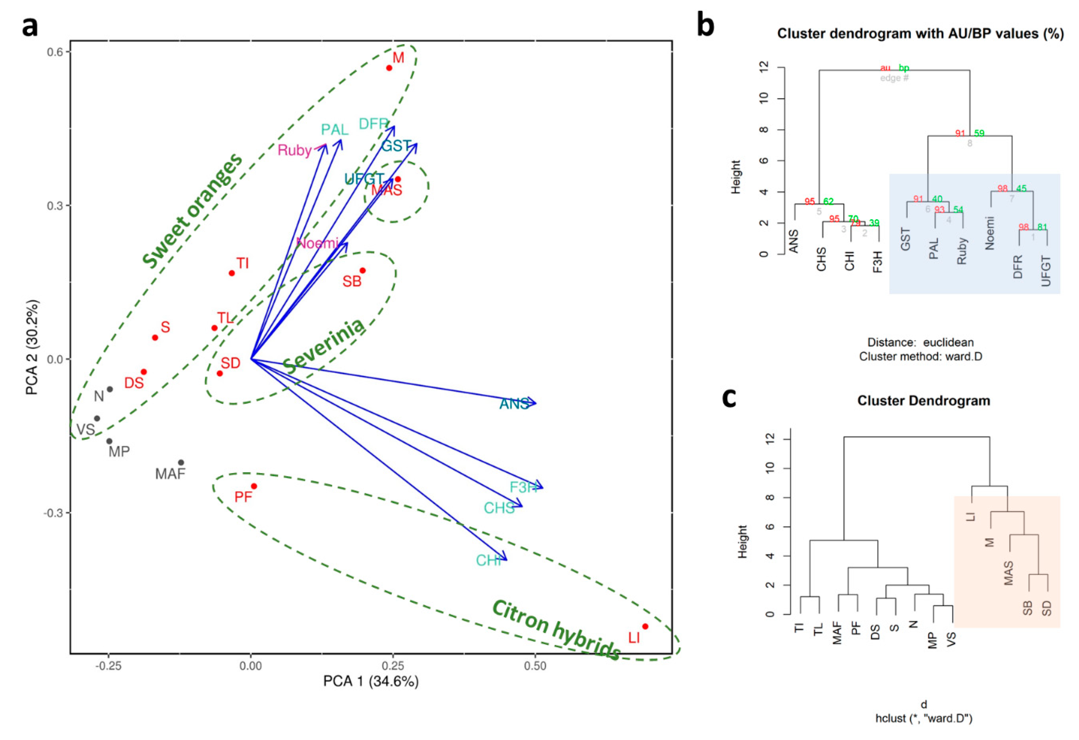Genes 11 00807 g008 Genes 11 00807 g008