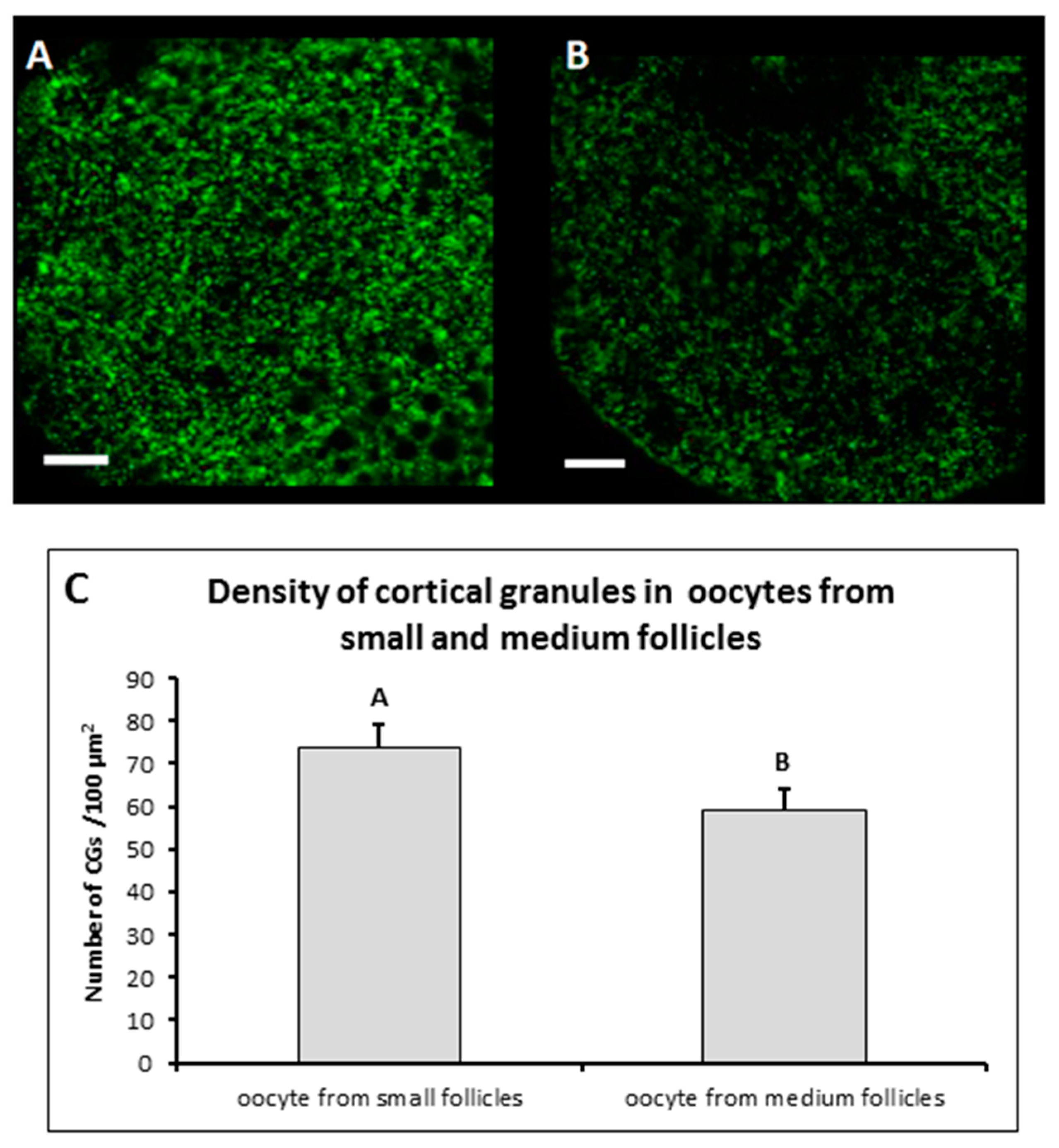 Genes 11 00815 g002