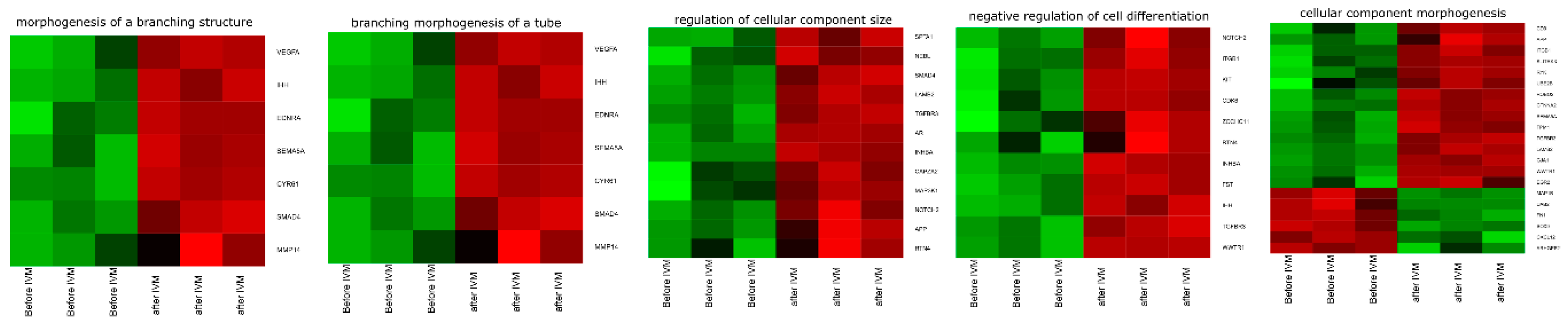Genes 11 00815 g004