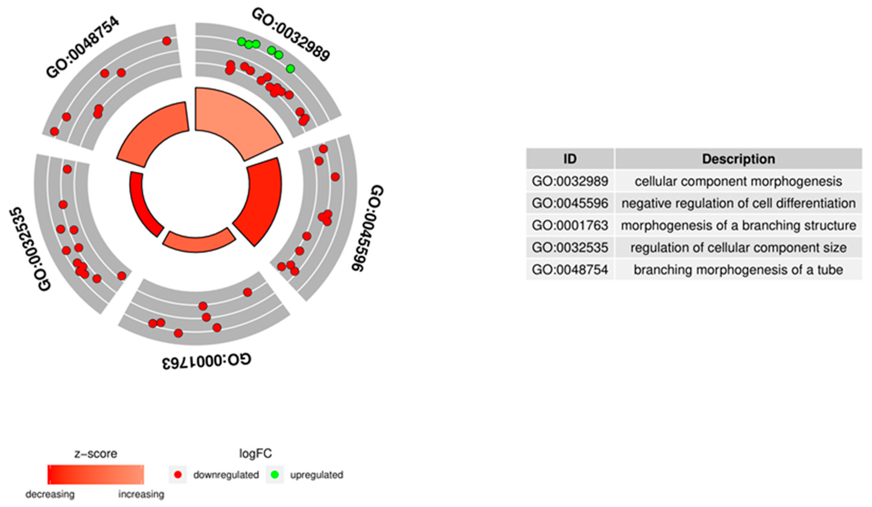 Genes 11 00815 g005