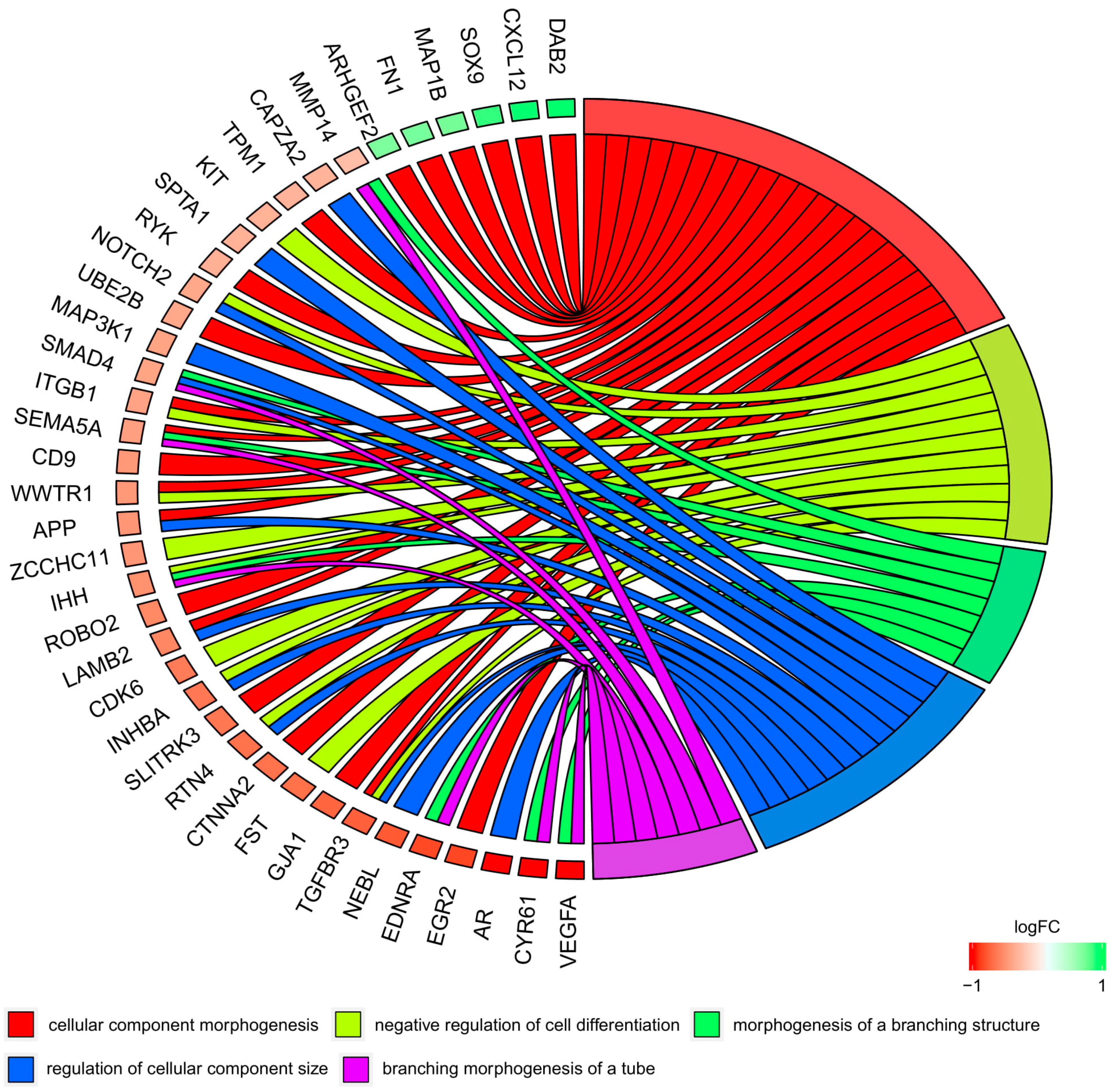 Genes 11 00815 g006
