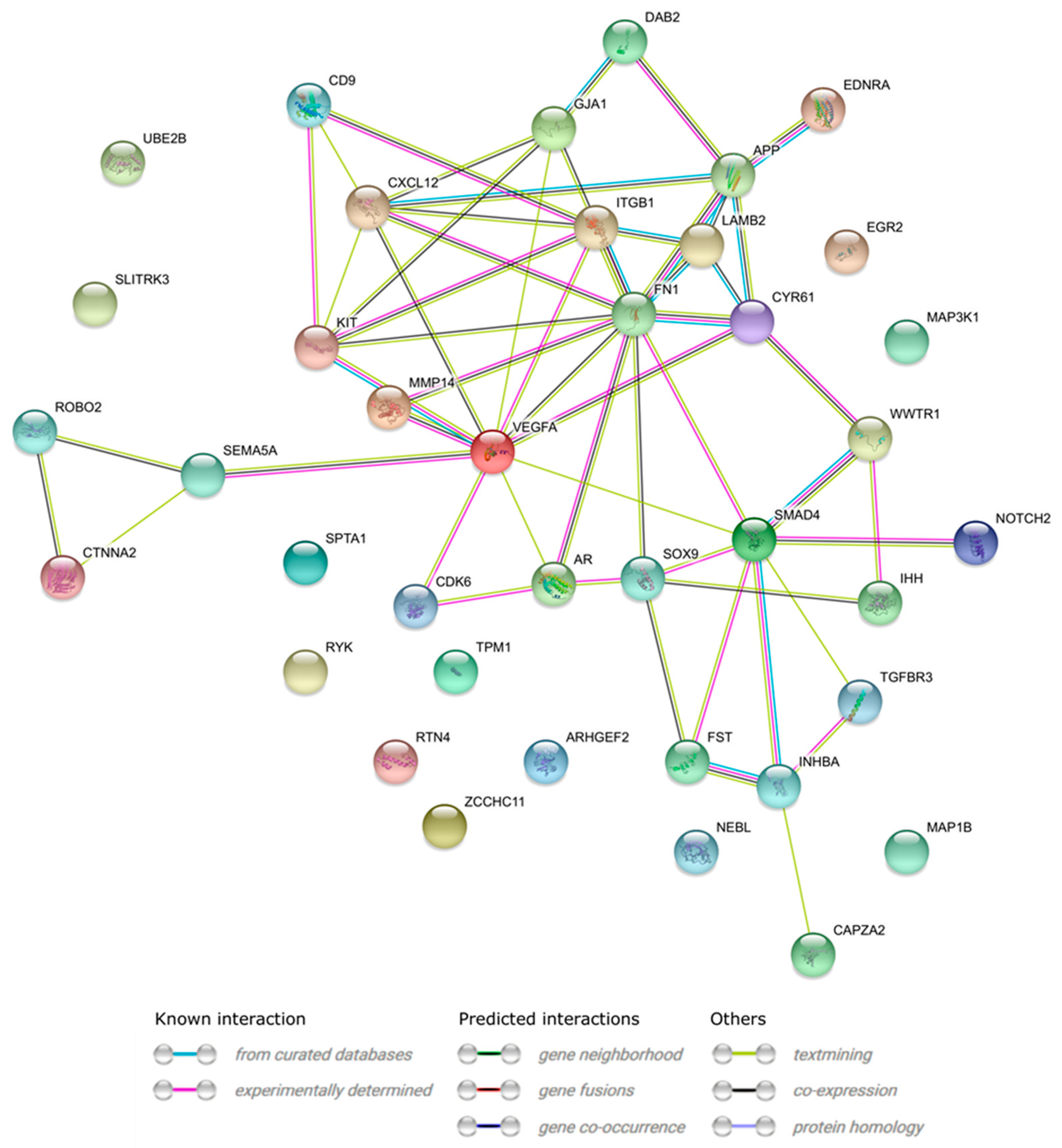 Genes 11 00815 g008