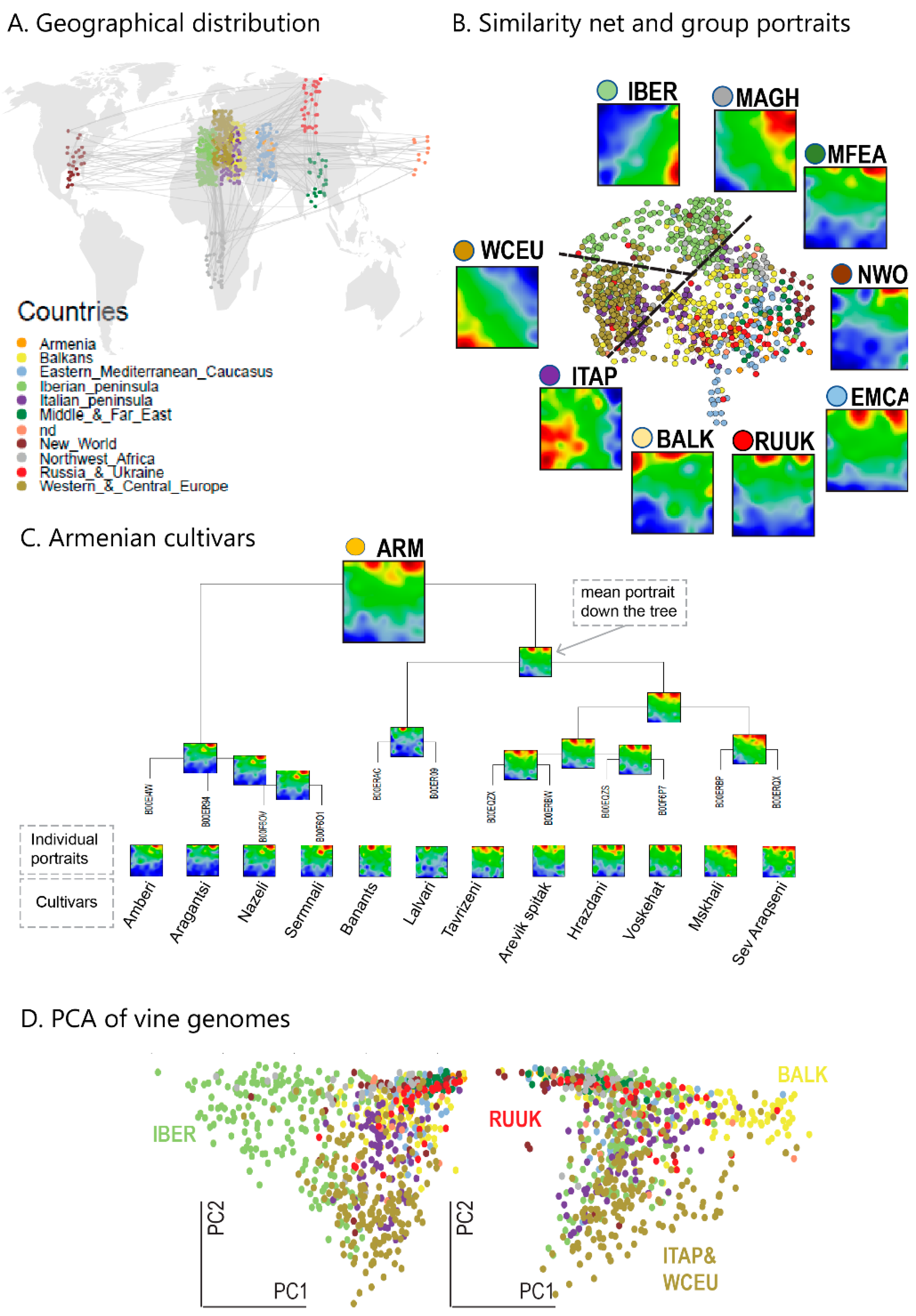 Genes 11 00817 g001 550
