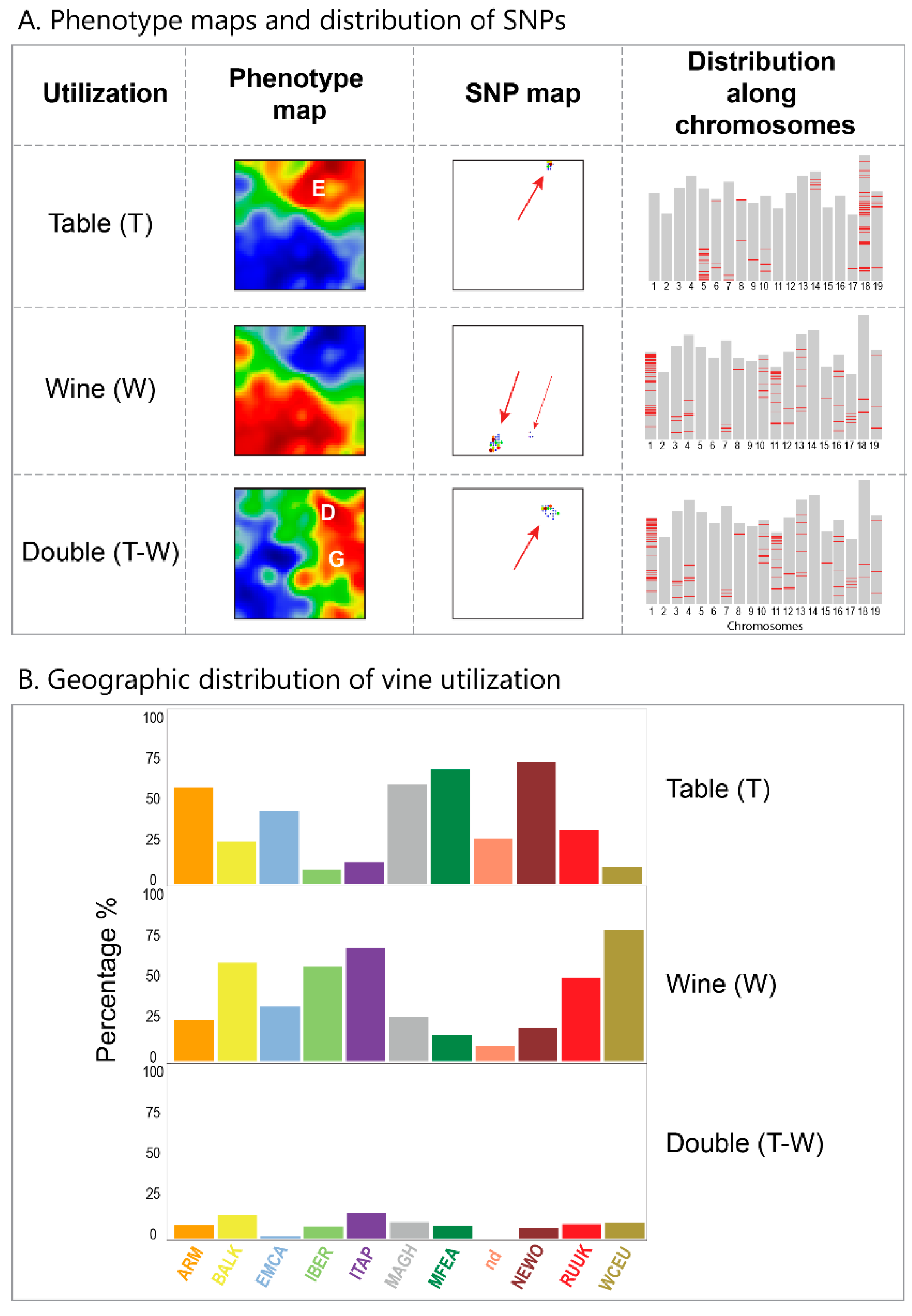 Genes 11 00817 g003 550