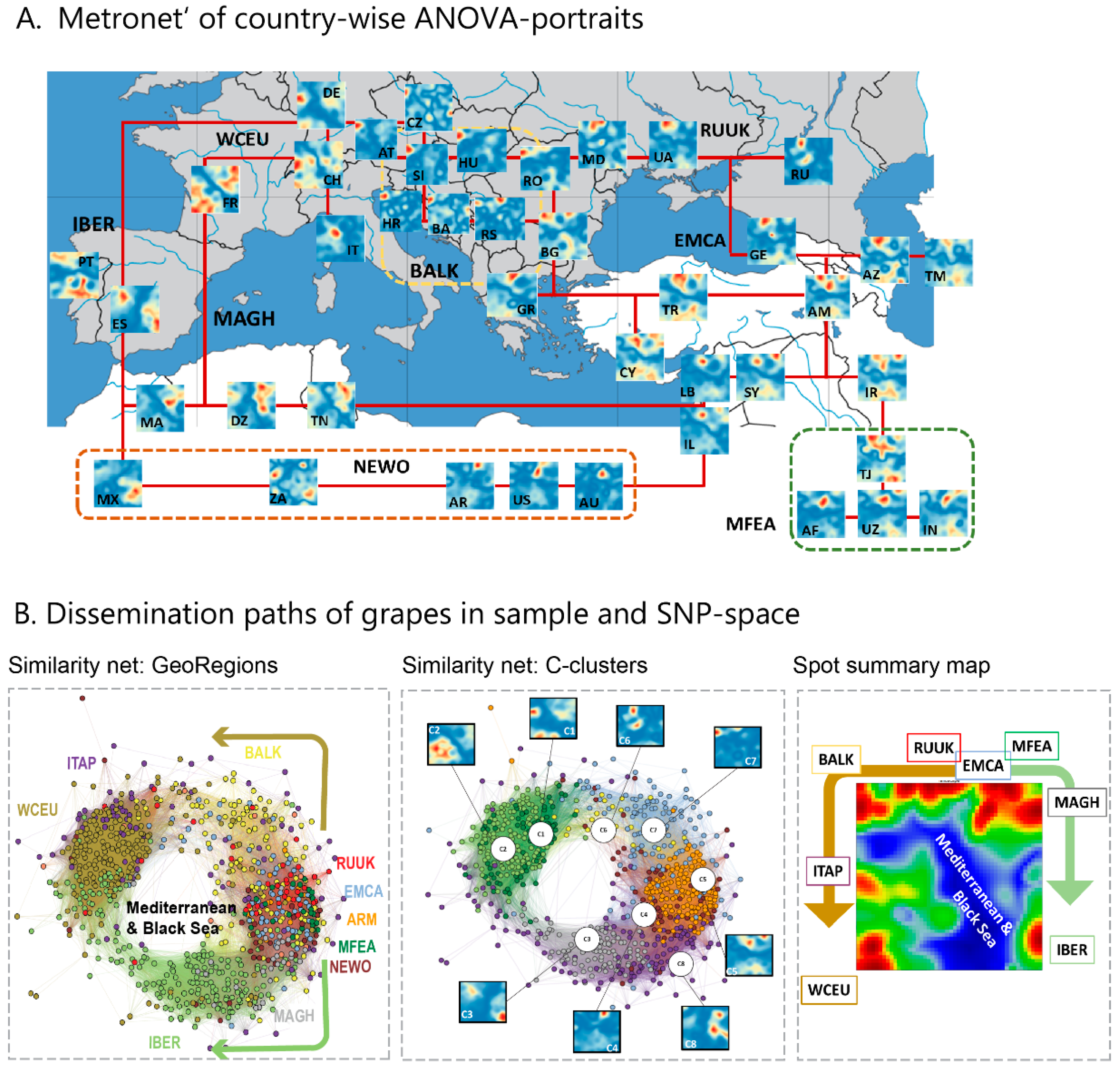 Genes 11 00817 g004 550