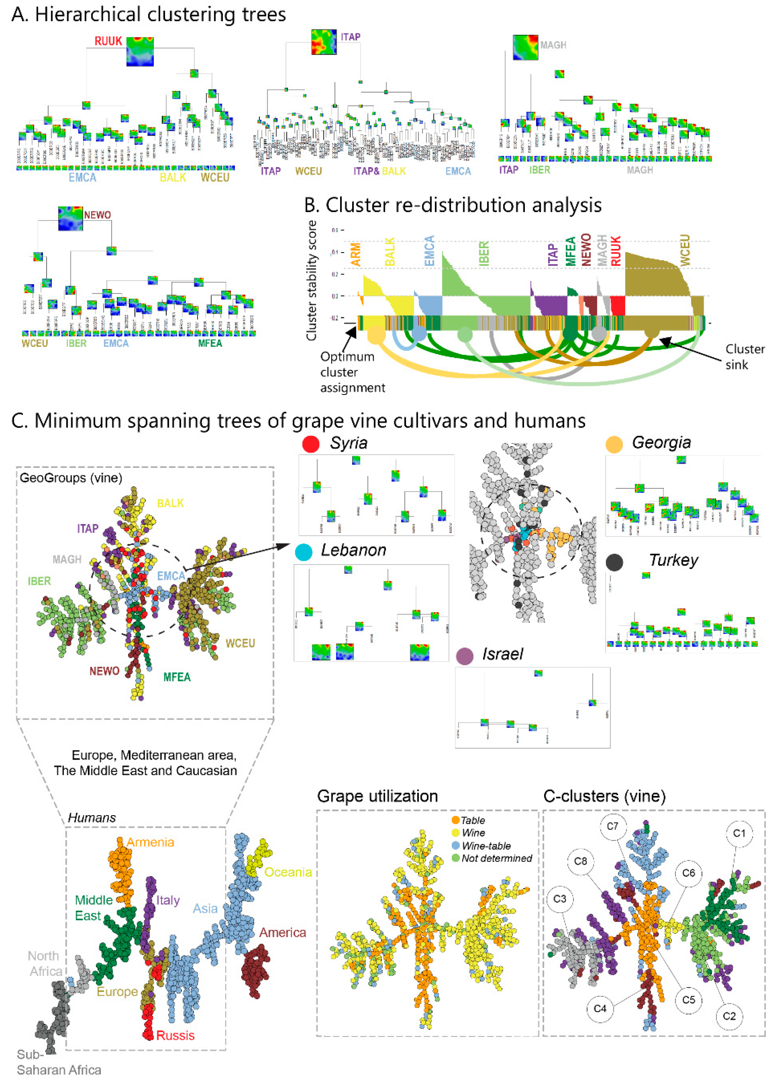 Genes 11 00817 g005 550