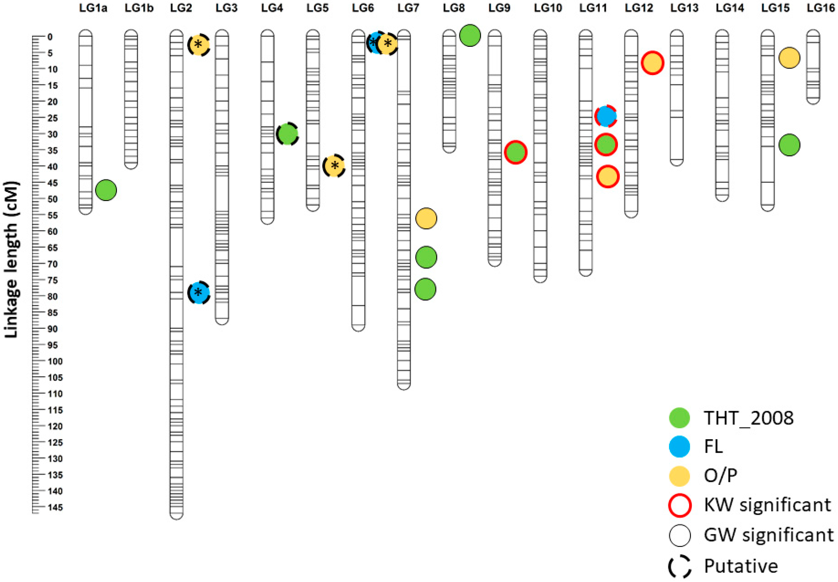 Genes 11 00826 g002