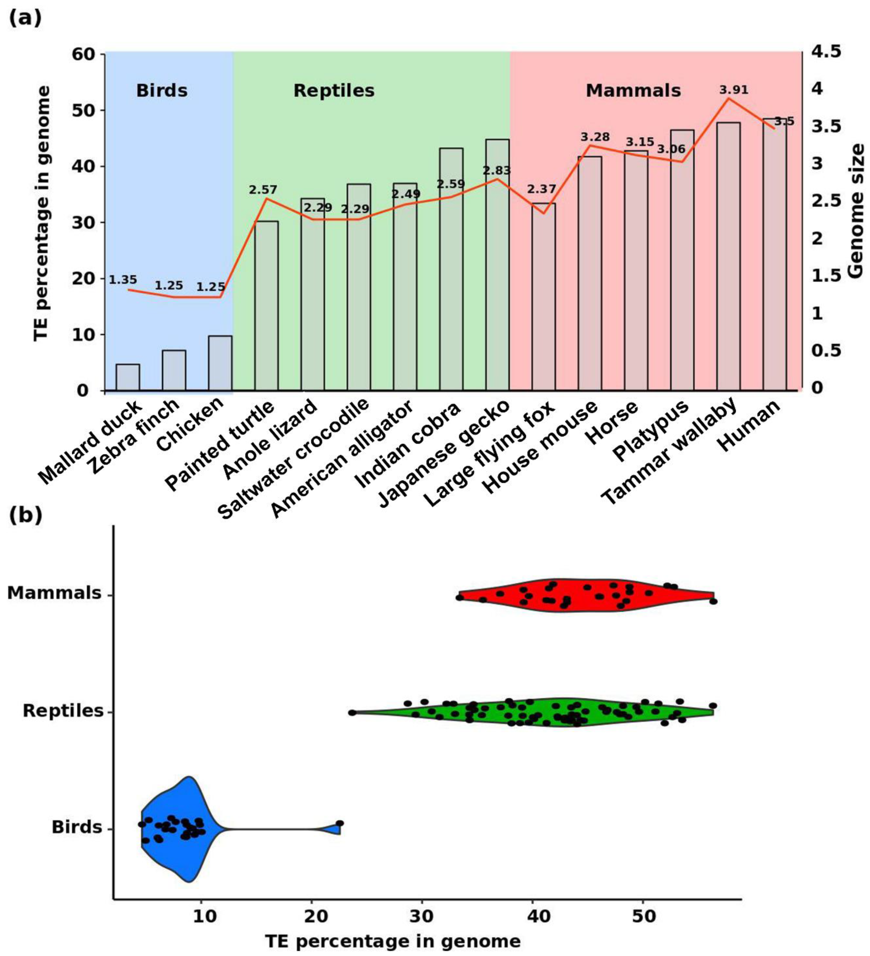 Genes 11 00827 g001 Genes 11 00827 g001