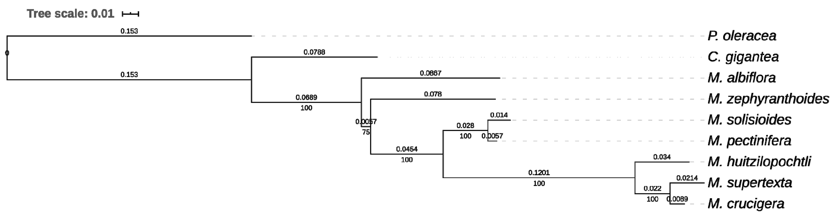 Genes 11 00830 g005 Genes 11 00830 g005