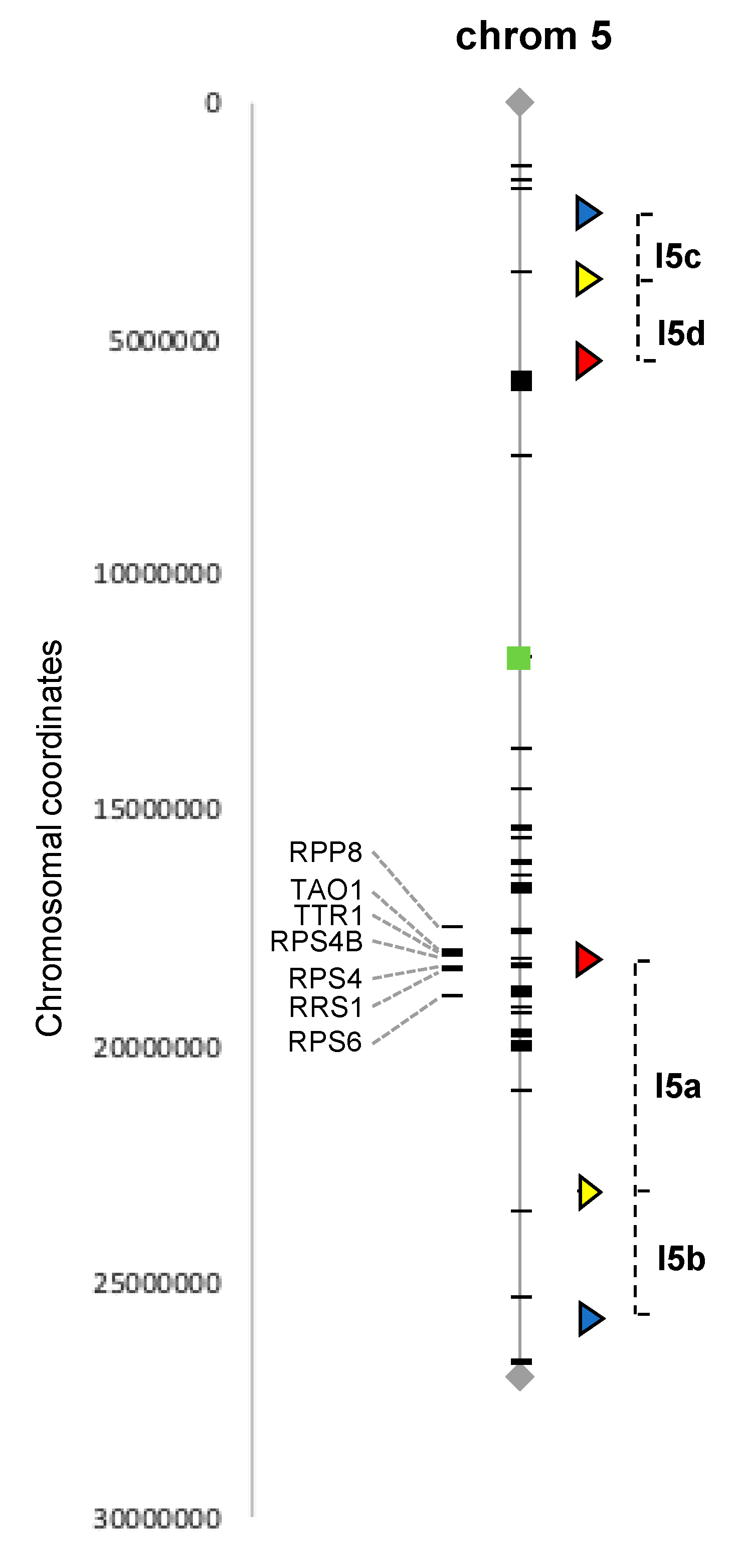 Genes 11 00832 g001 Genes 11 00832 g001