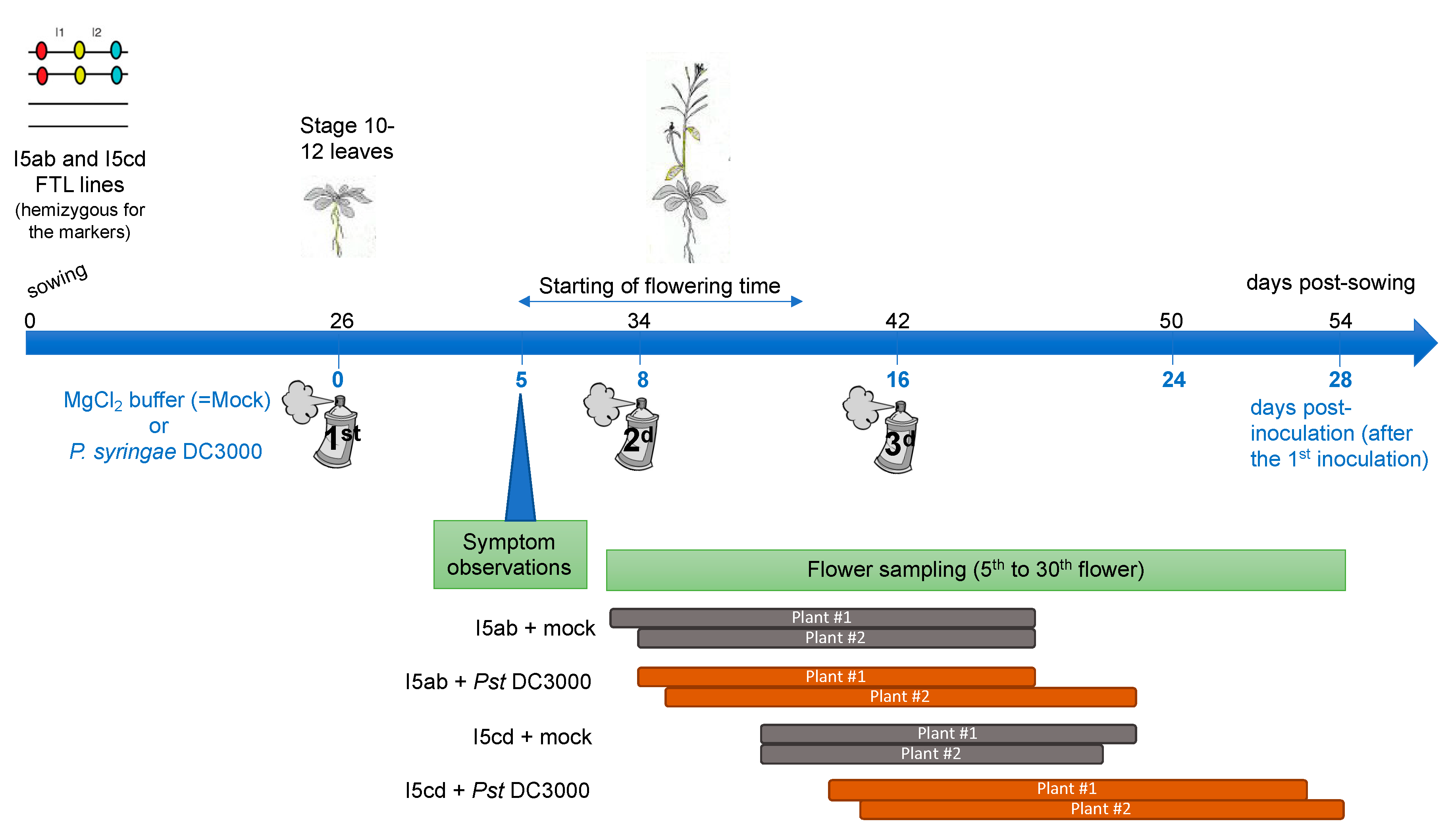 Genes 11 00832 g002 Genes 11 00832 g002