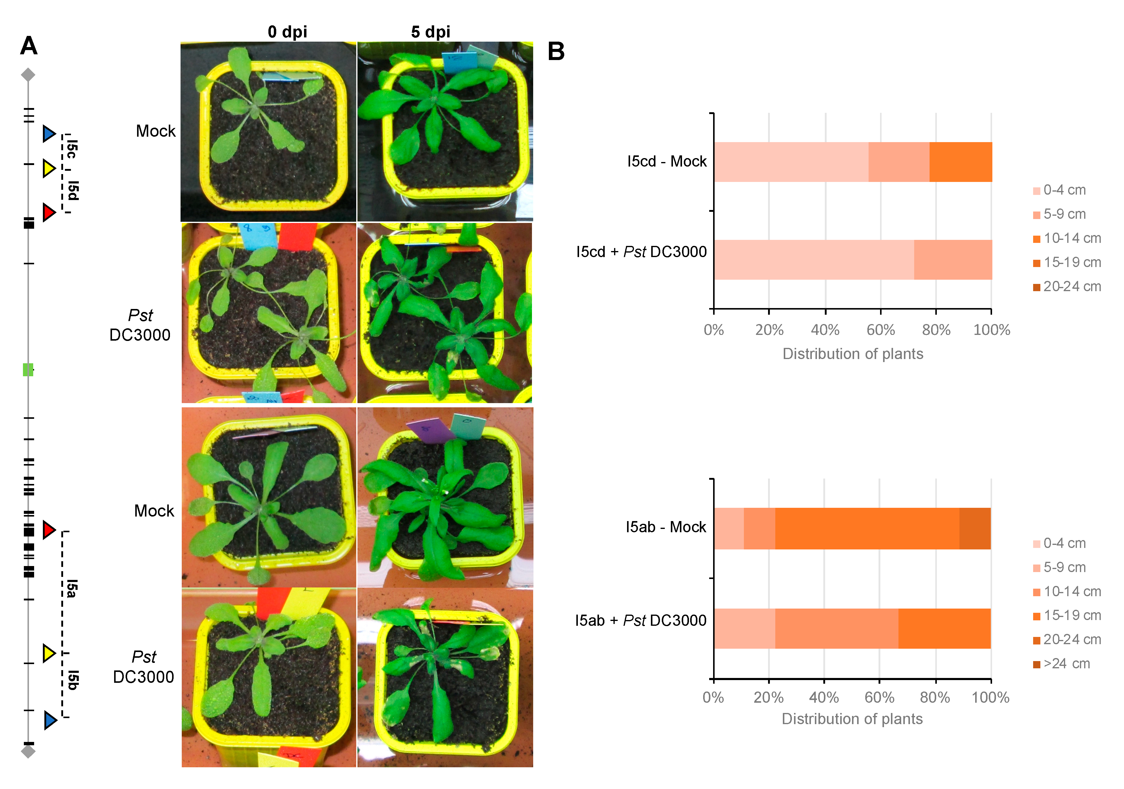 Genes 11 00832 g003 Genes 11 00832 g003