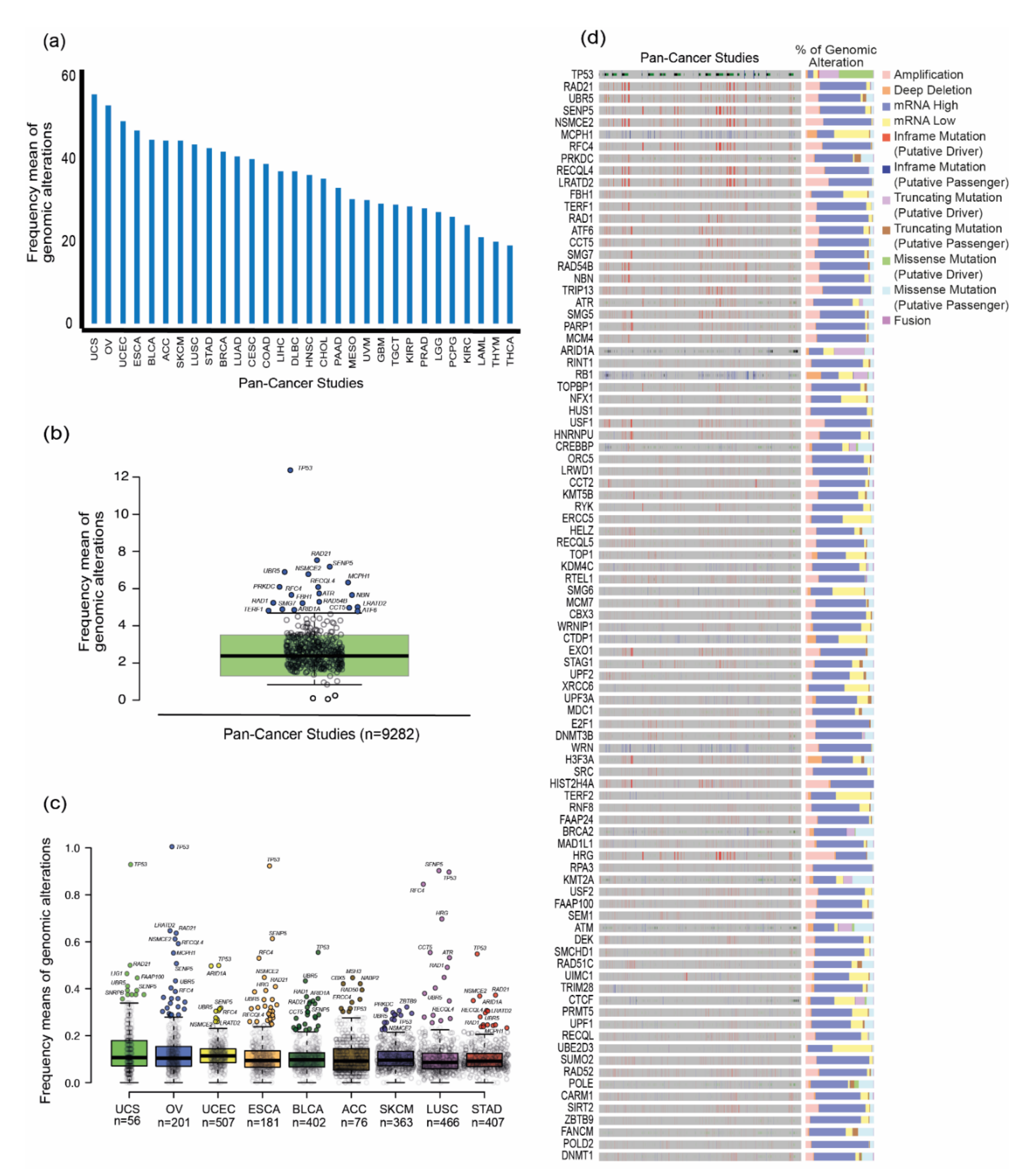 Genes 11 00834 g003 Genes 11 00834 g003