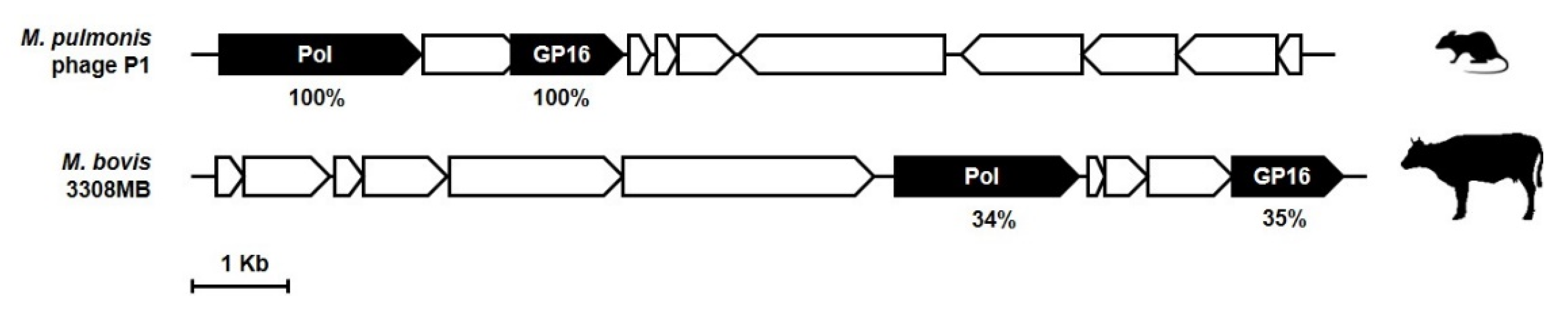 Genes 11 00836 g006 Genes 11 00836 g006