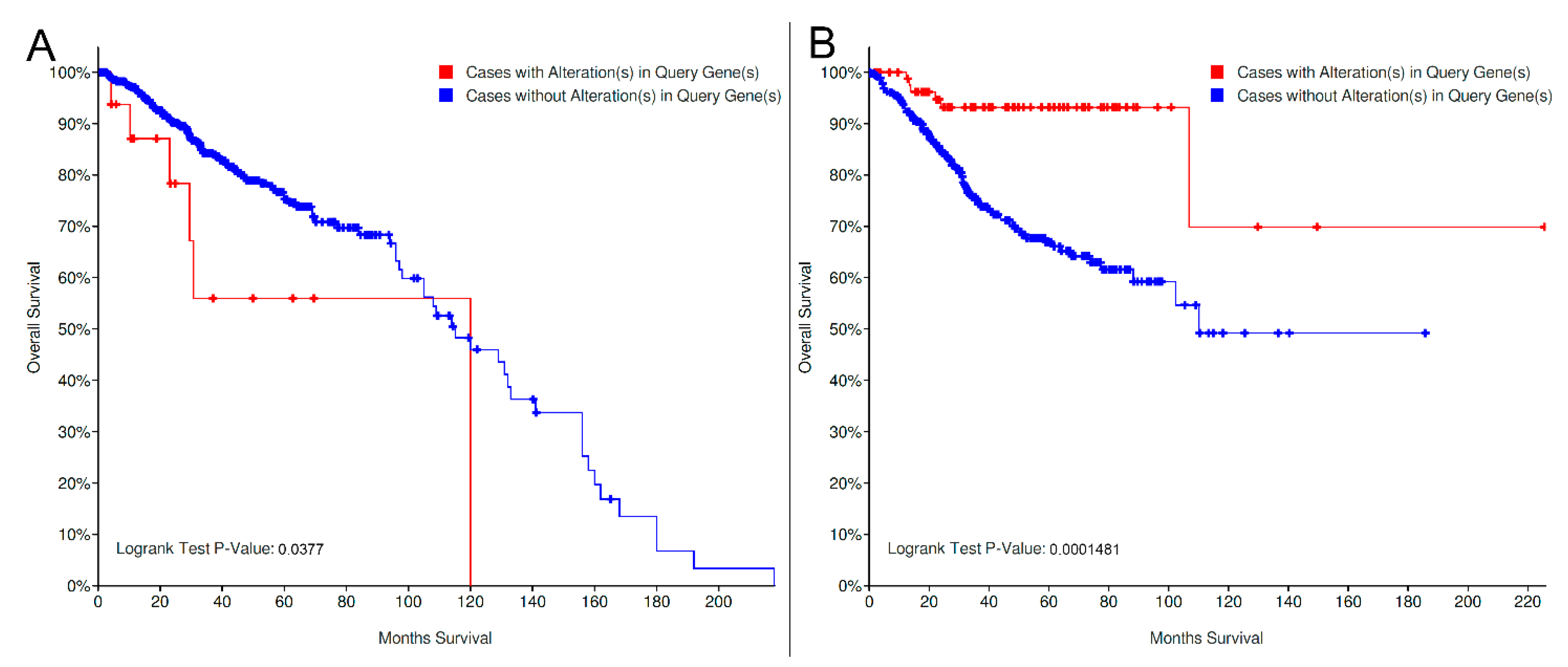 Genes 11 00846 g005