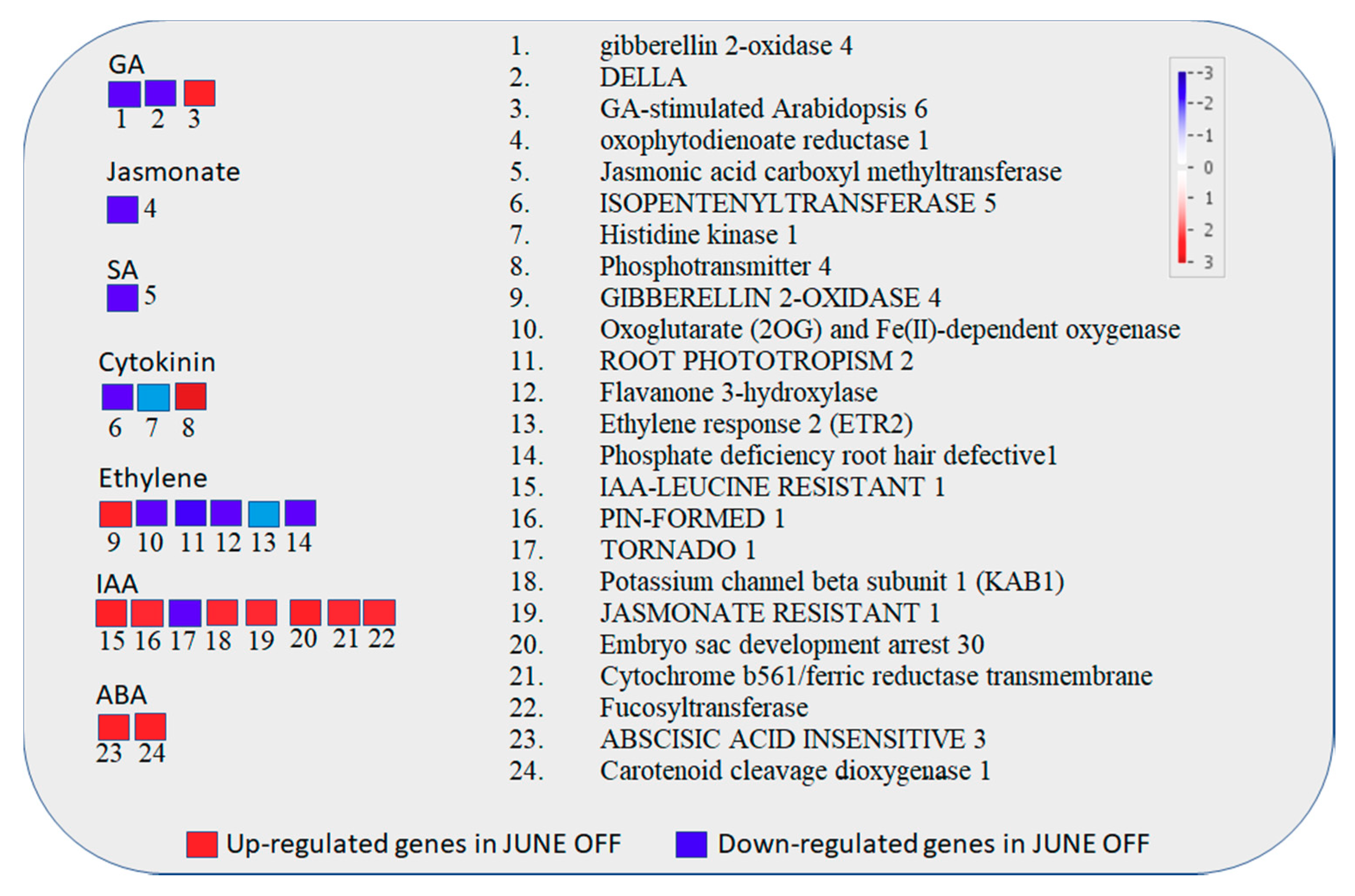Genes 11 00851 g003 Genes 11 00851 g003