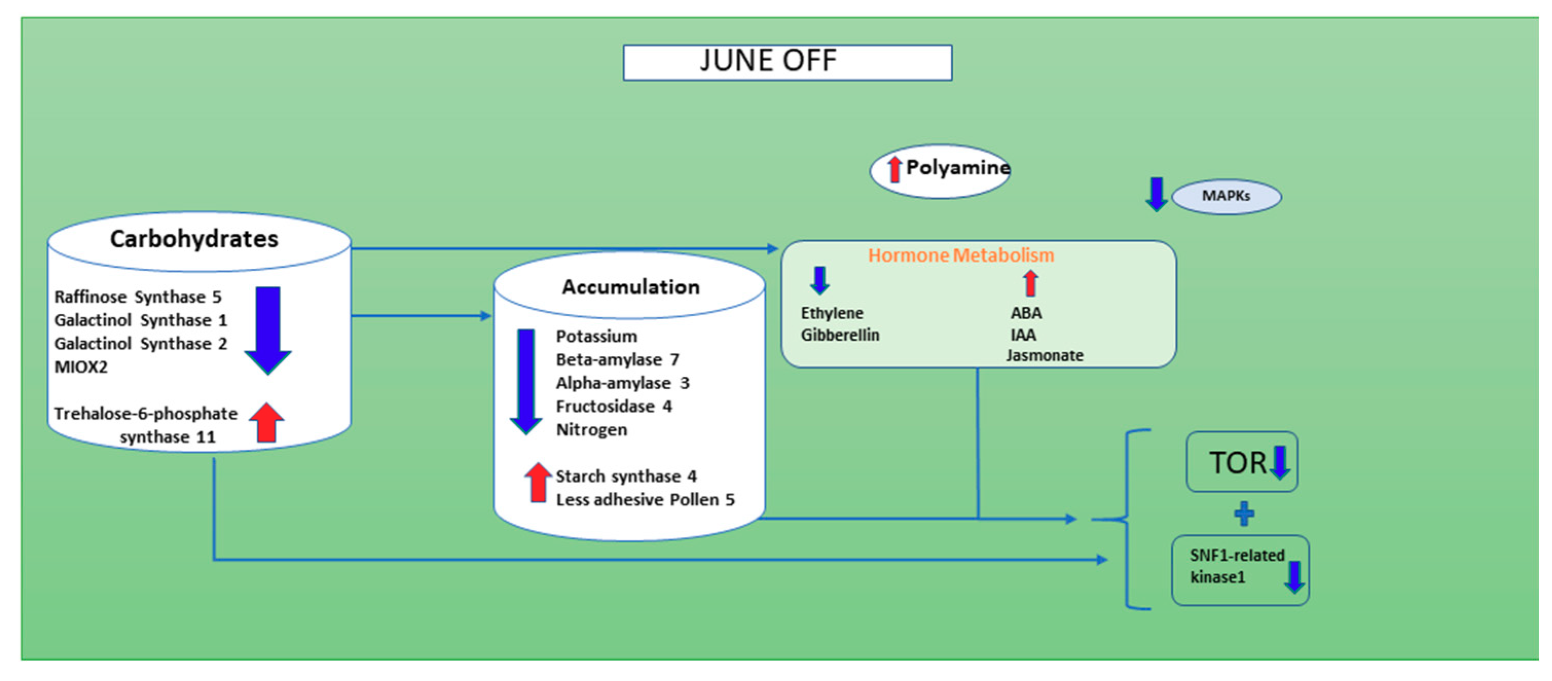 Genes 11 00851 g006 Genes 11 00851 g006