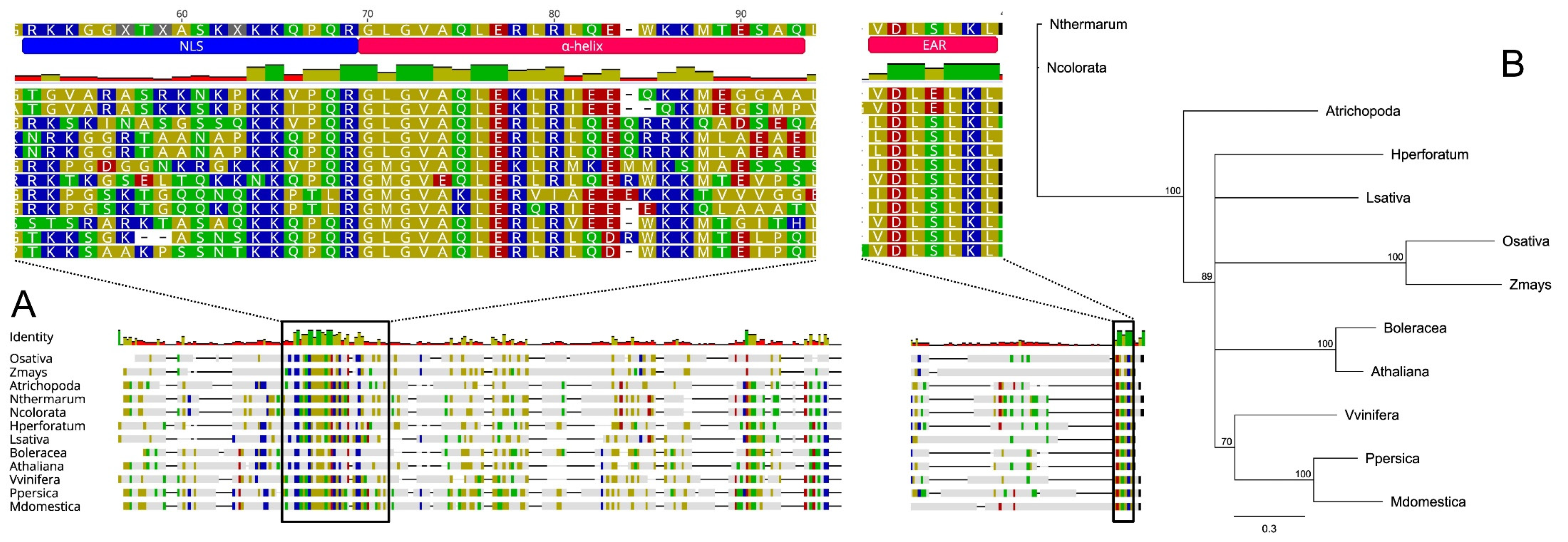 Genes 11 00859 g002 Genes 11 00859 g002