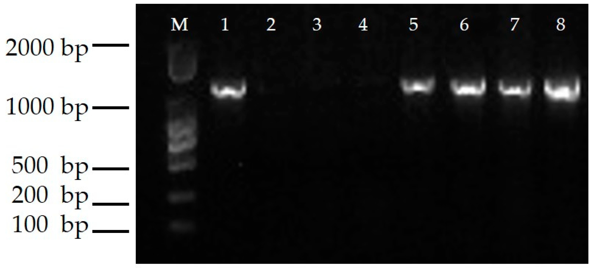 Genes 11 00860 g006 Genes 11 00860 g006