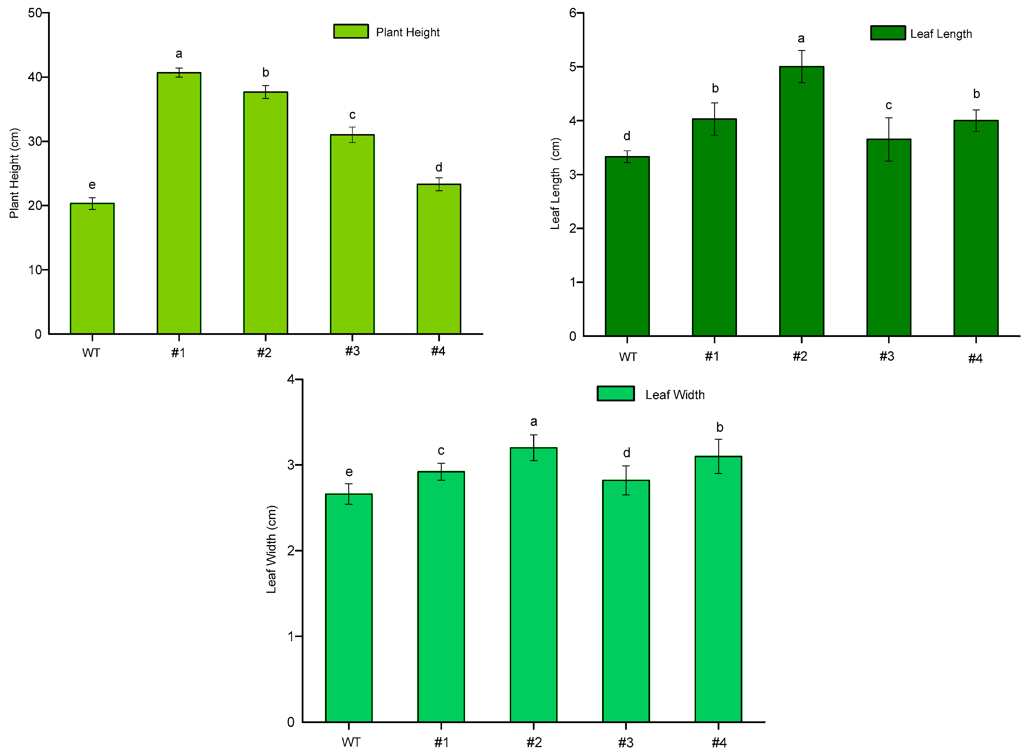 Genes 11 00860 g010 Genes 11 00860 g010