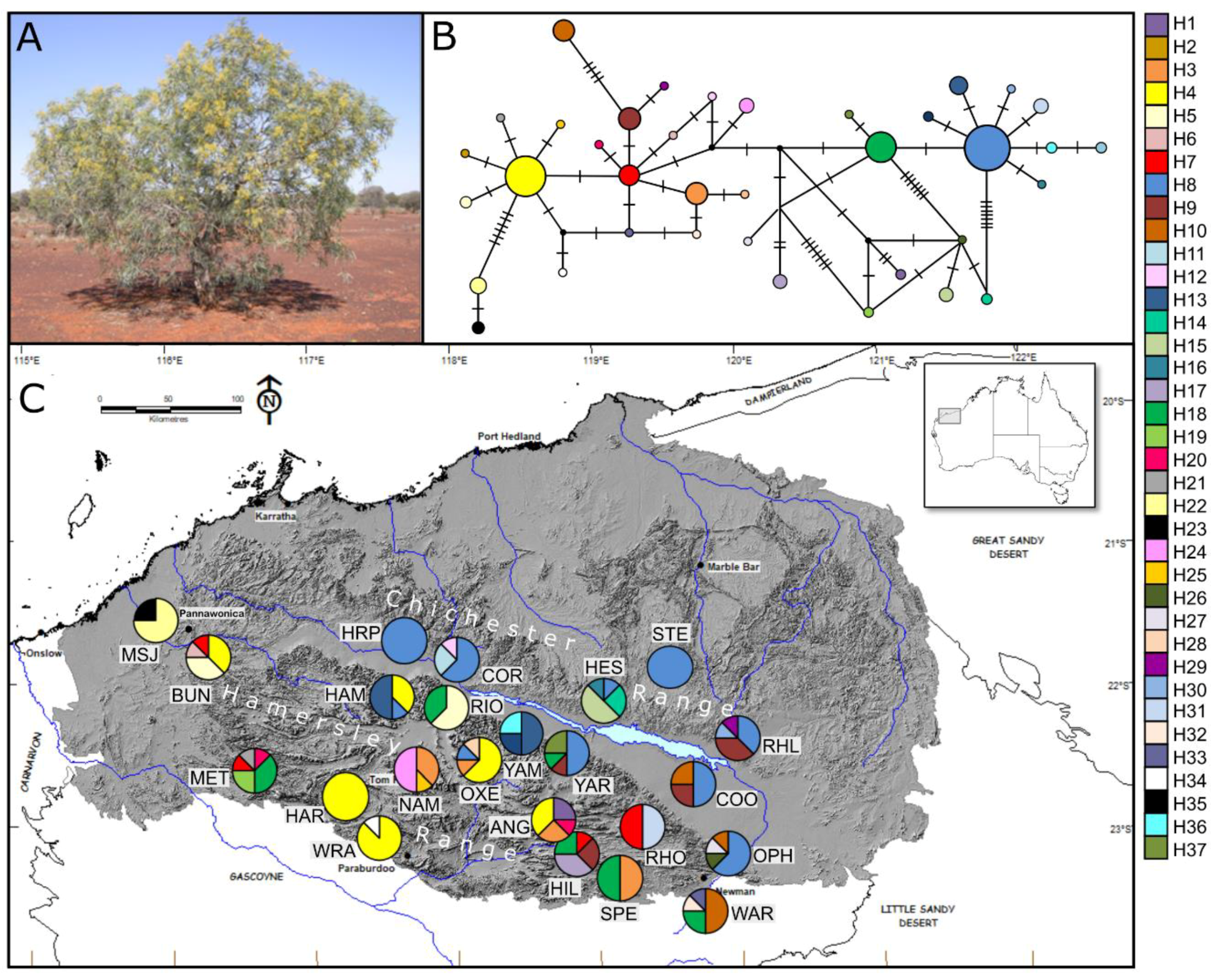 Genes 11 00863 g002 Genes 11 00863 g002