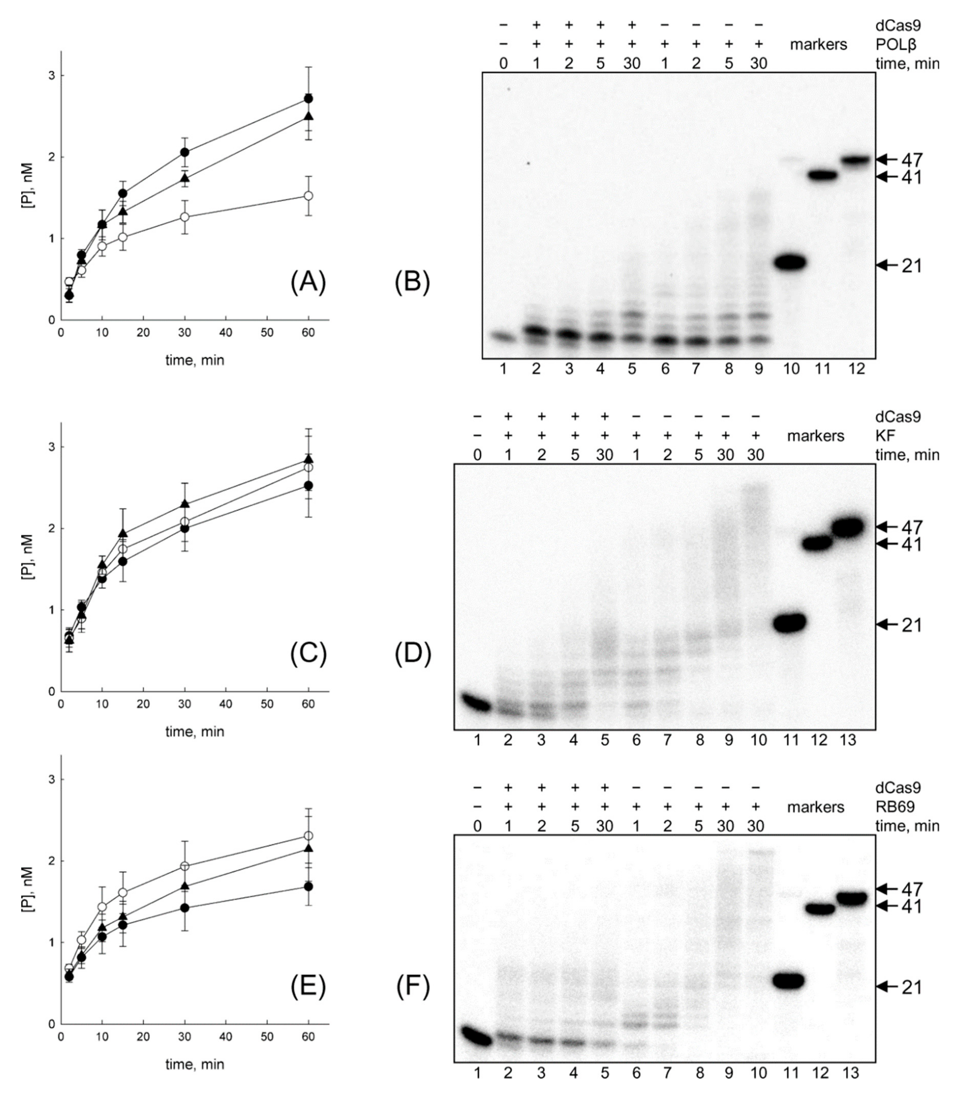 Genes 11 00866 g008 Genes 11 00866 g008