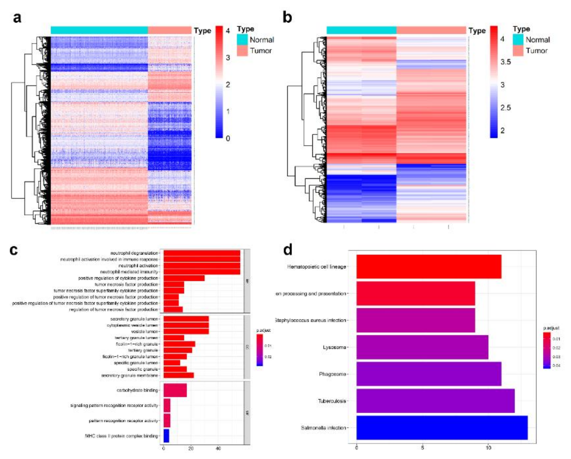 Genes 11 00868 g001 Genes 11 00868 g001
