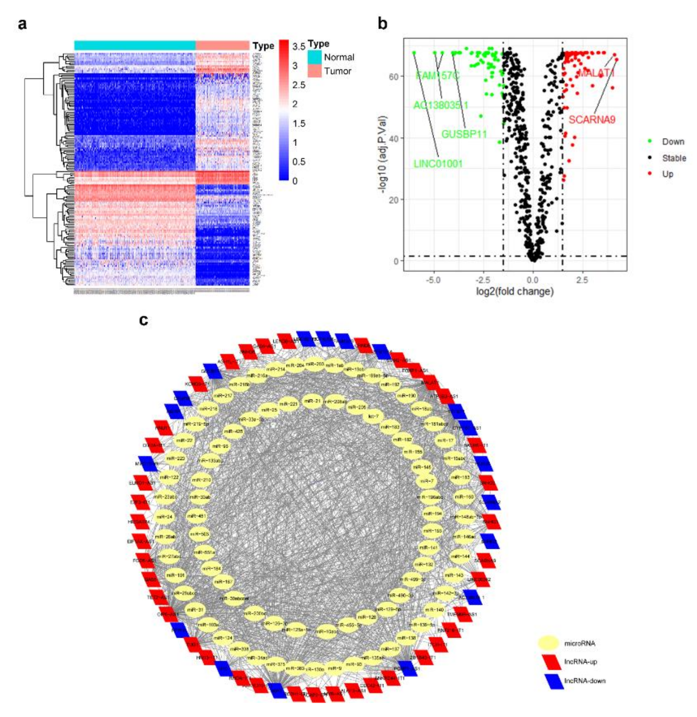 Genes 11 00868 g002 Genes 11 00868 g002