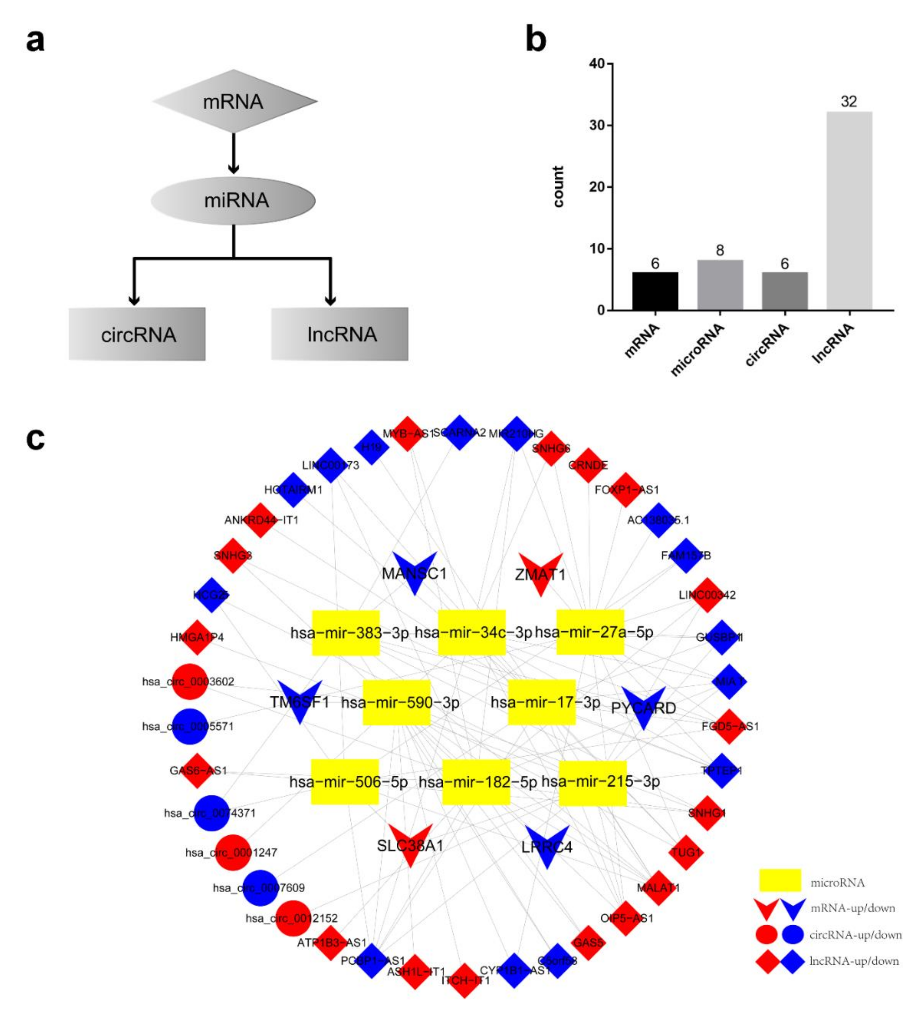 Genes 11 00868 g006 Genes 11 00868 g006