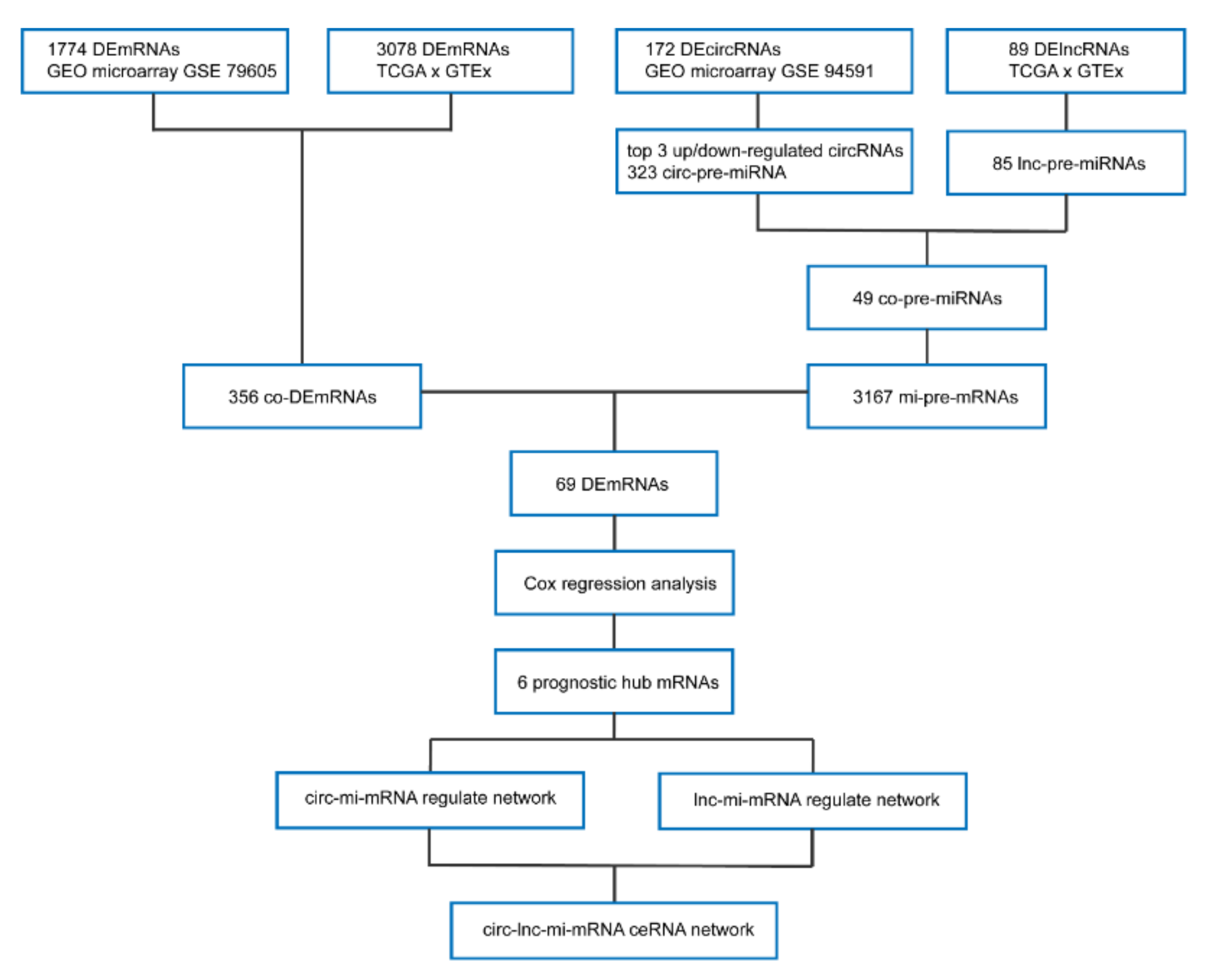 Genes 11 00868 g008 Genes 11 00868 g008
