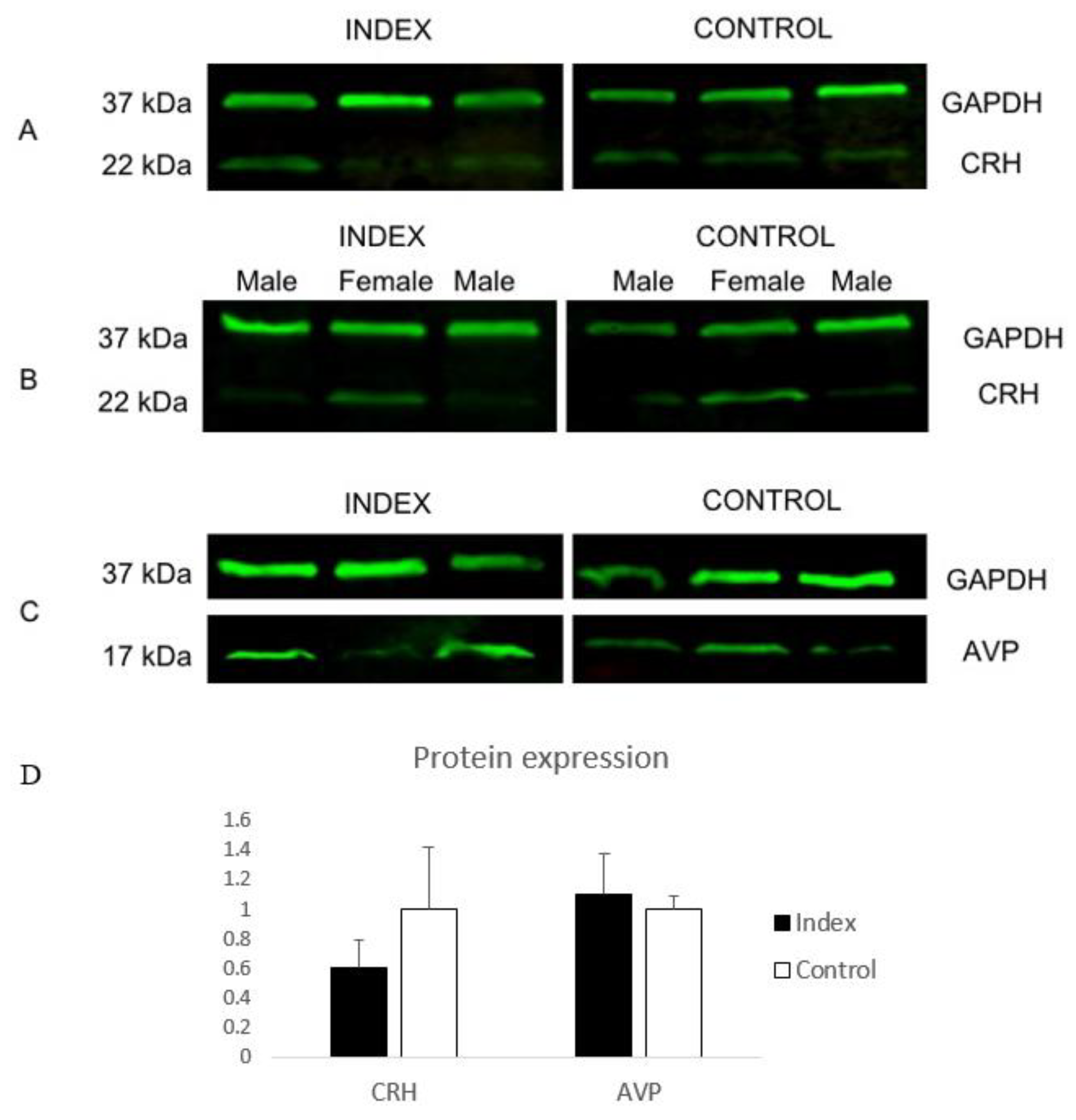 Genes 11 00869 g003 Genes 11 00869 g003