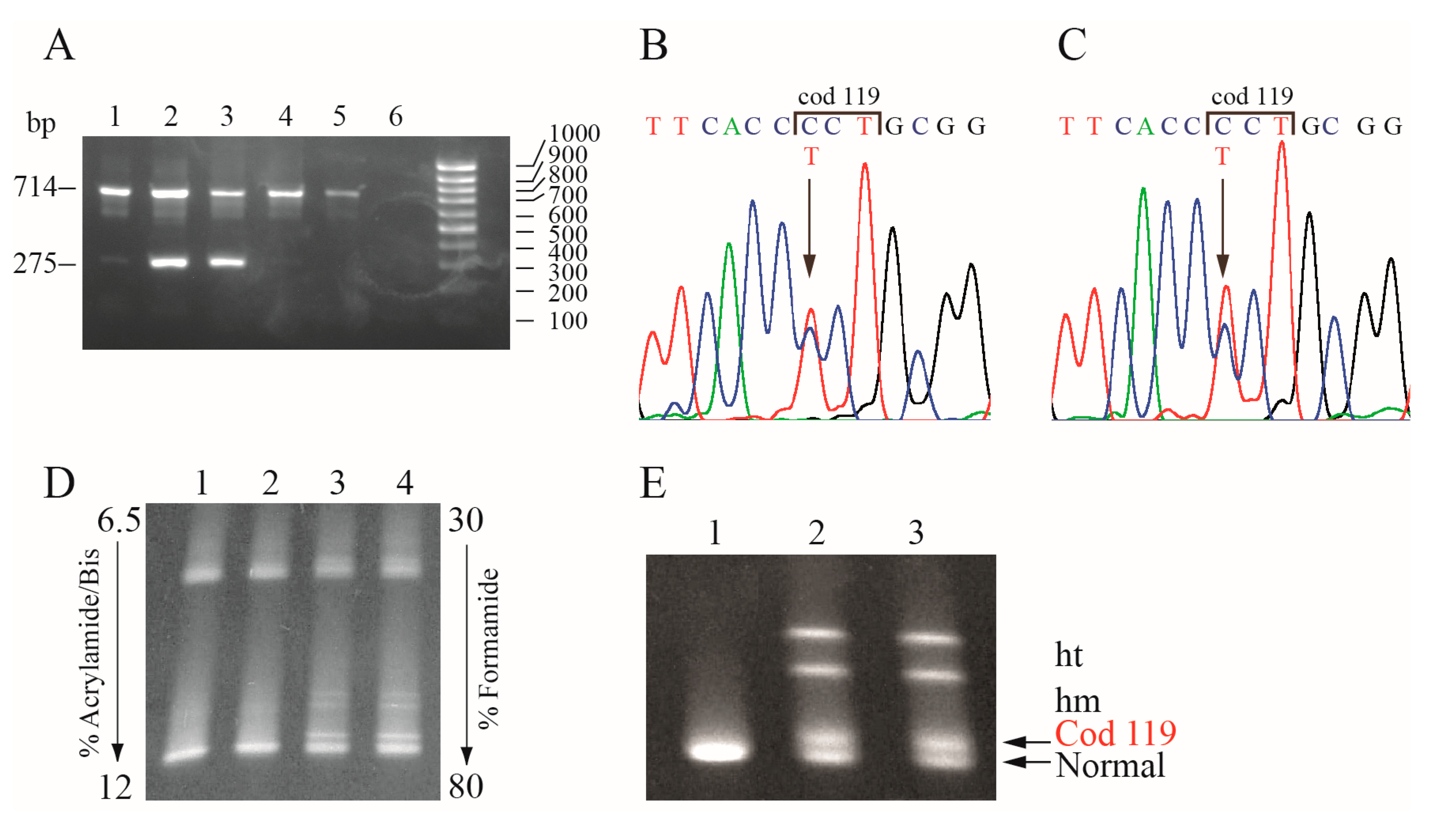 Genes 11 00870 g001 Genes 11 00870 g001