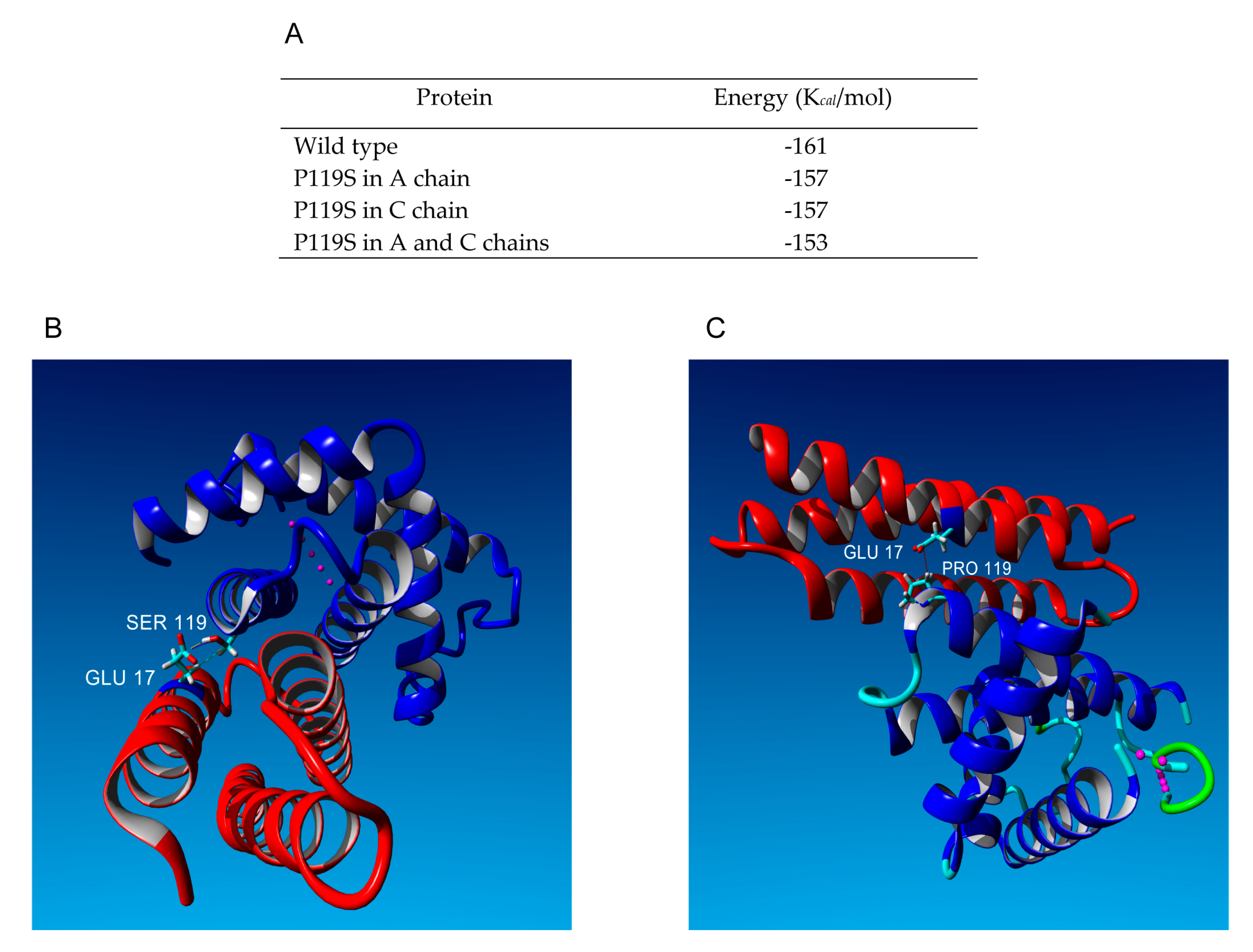 Genes Free Full-Text Effect of Mutations on mRNA and Globin Stability The Cases of Hb Bernalda/Groene Hart and Hb Southern Italy image