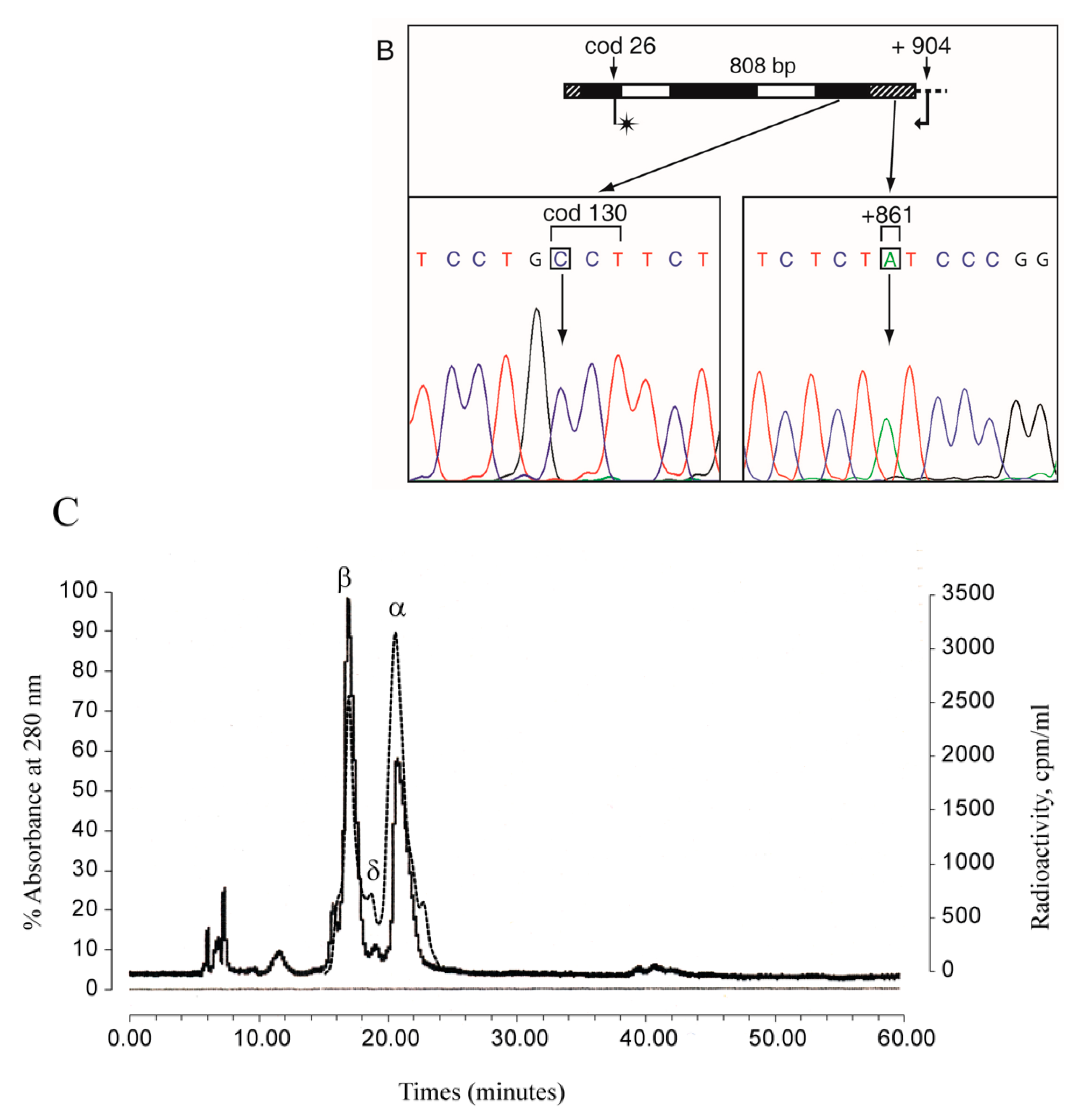 Genes 11 00870 g003b Genes 11 00870 g003b