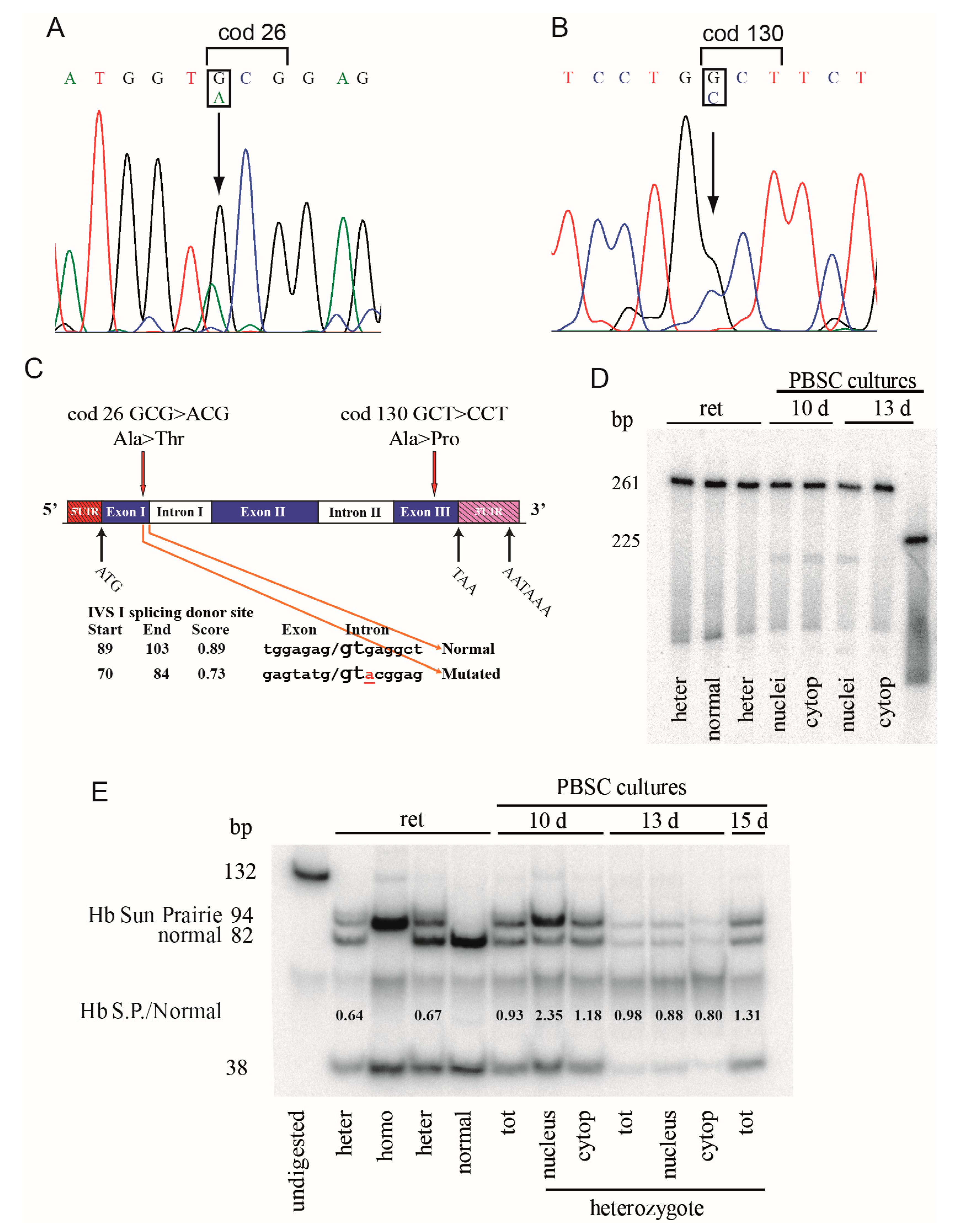 Genes 11 00870 g004 Genes 11 00870 g004