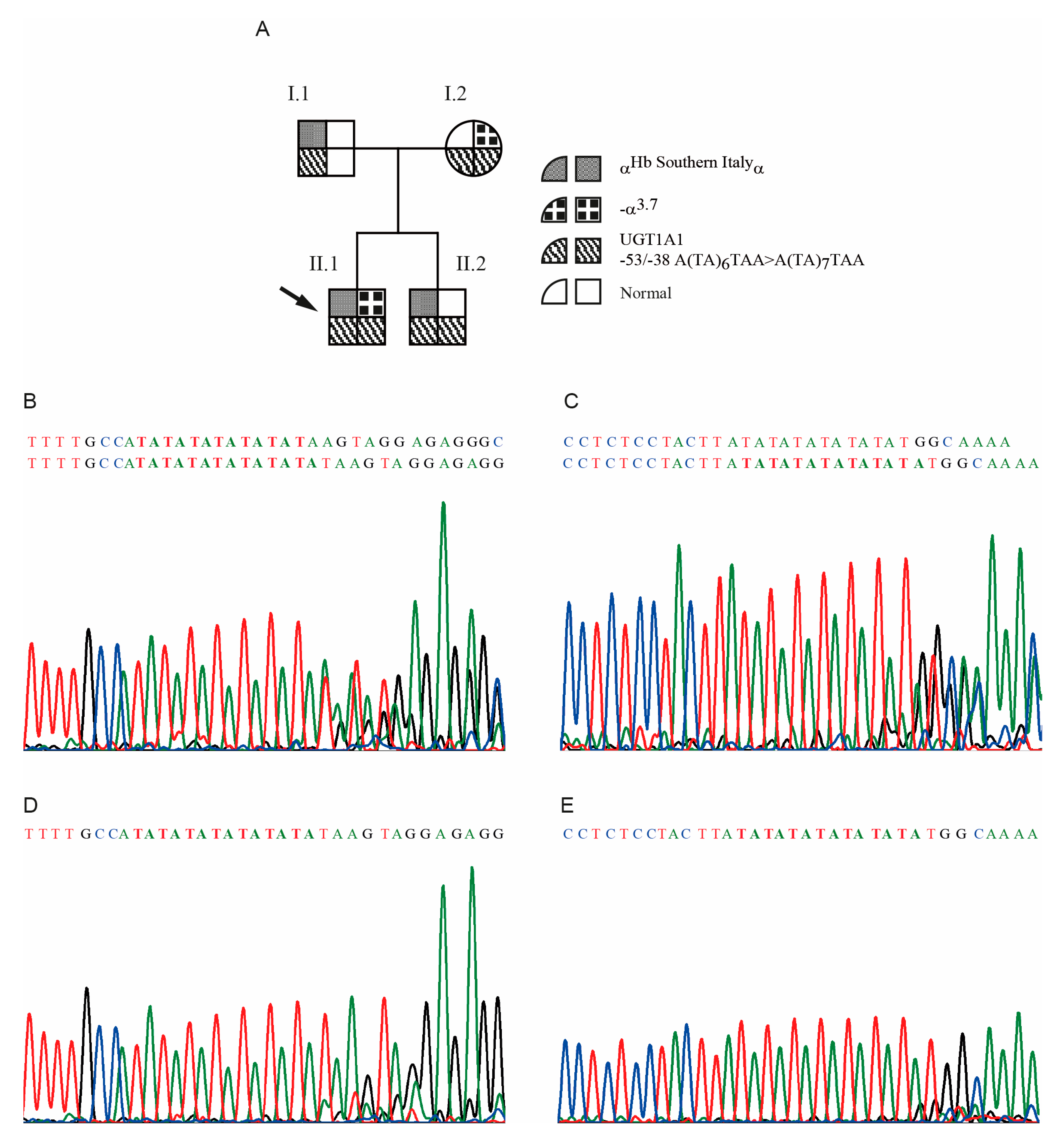 Genes 11 00870 g005 Genes 11 00870 g005