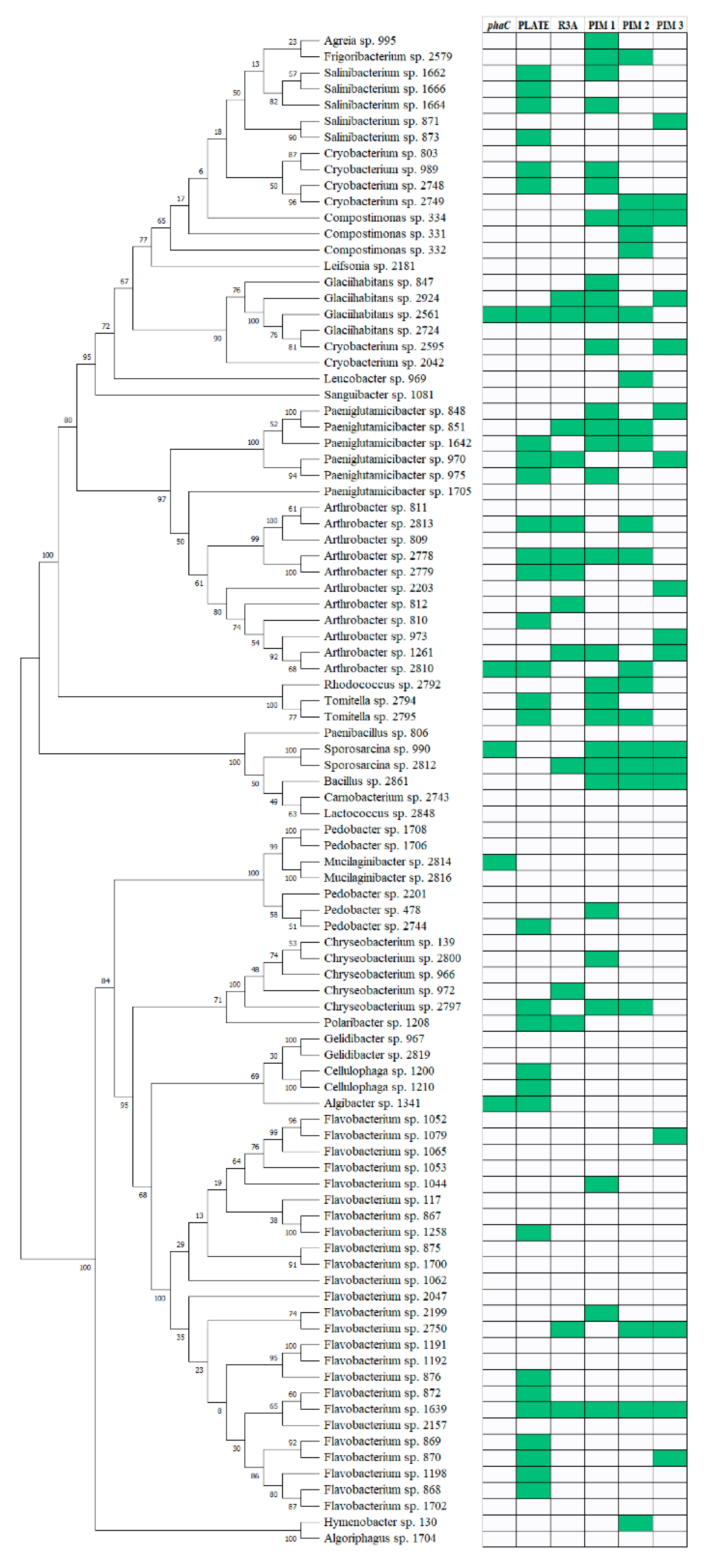 Genes 11 00873 g003 Genes 11 00873 g003