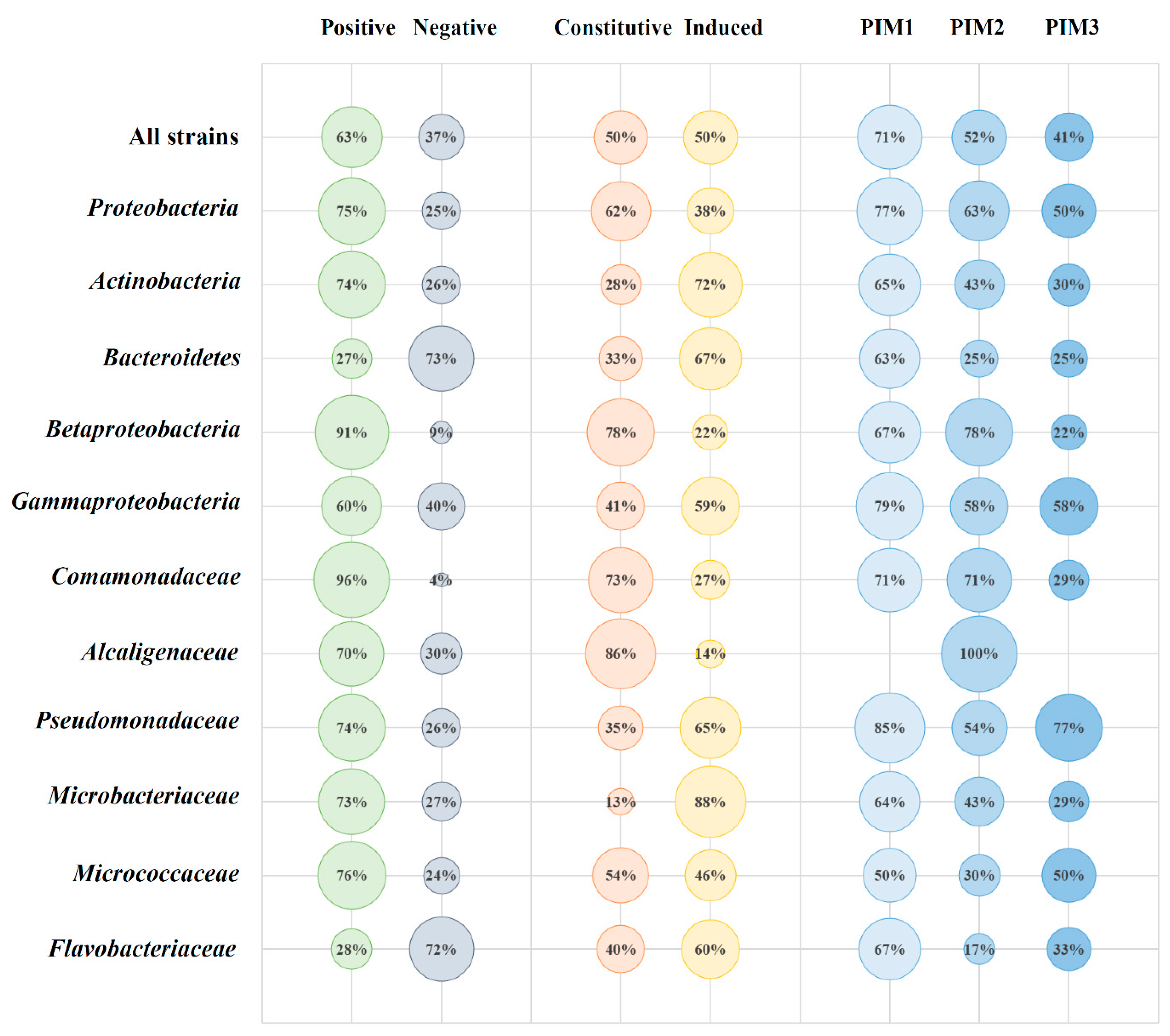 Genes 11 00873 g005 Genes 11 00873 g005