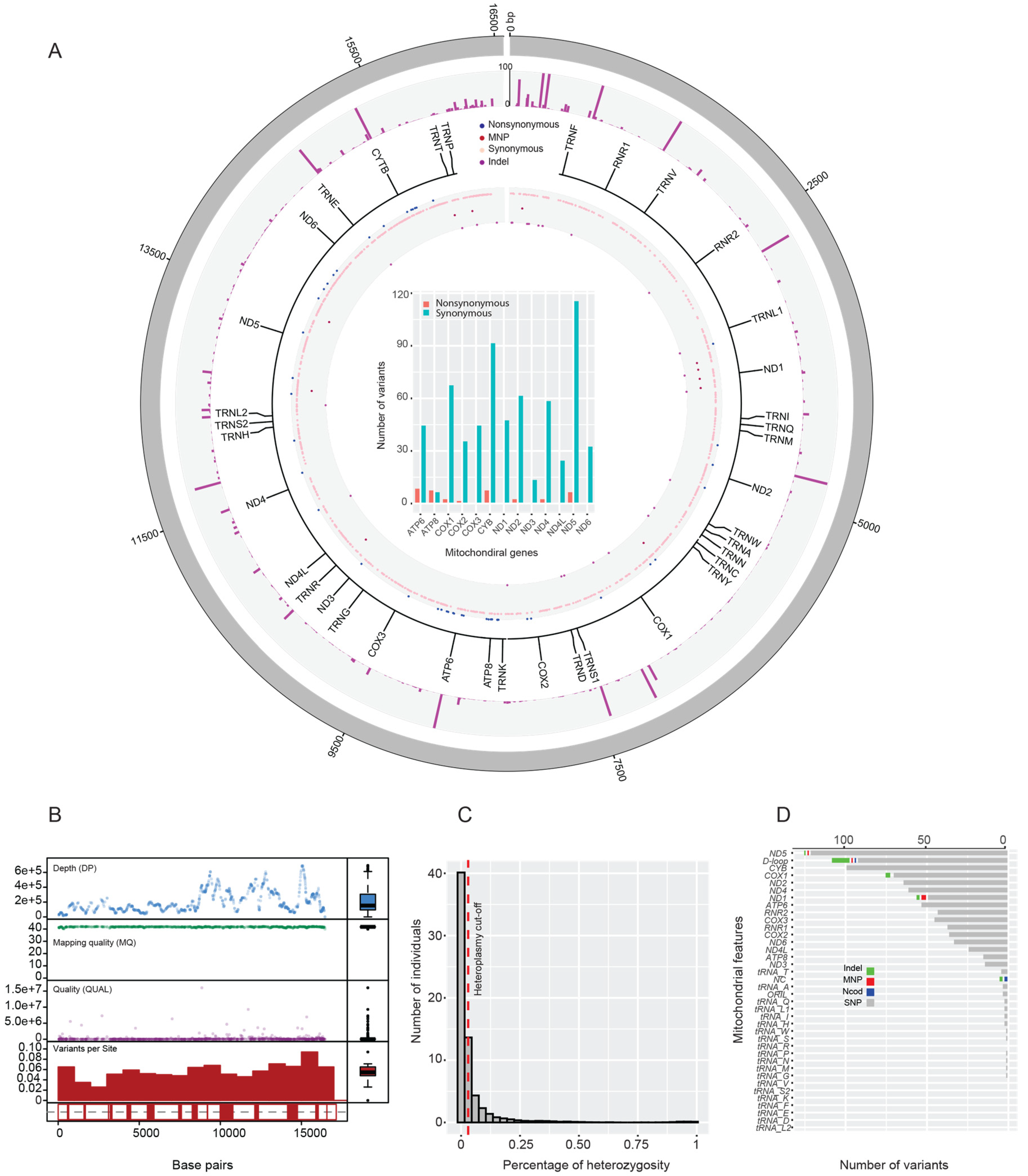 Genes 11 00876 g001 Genes 11 00876 g001